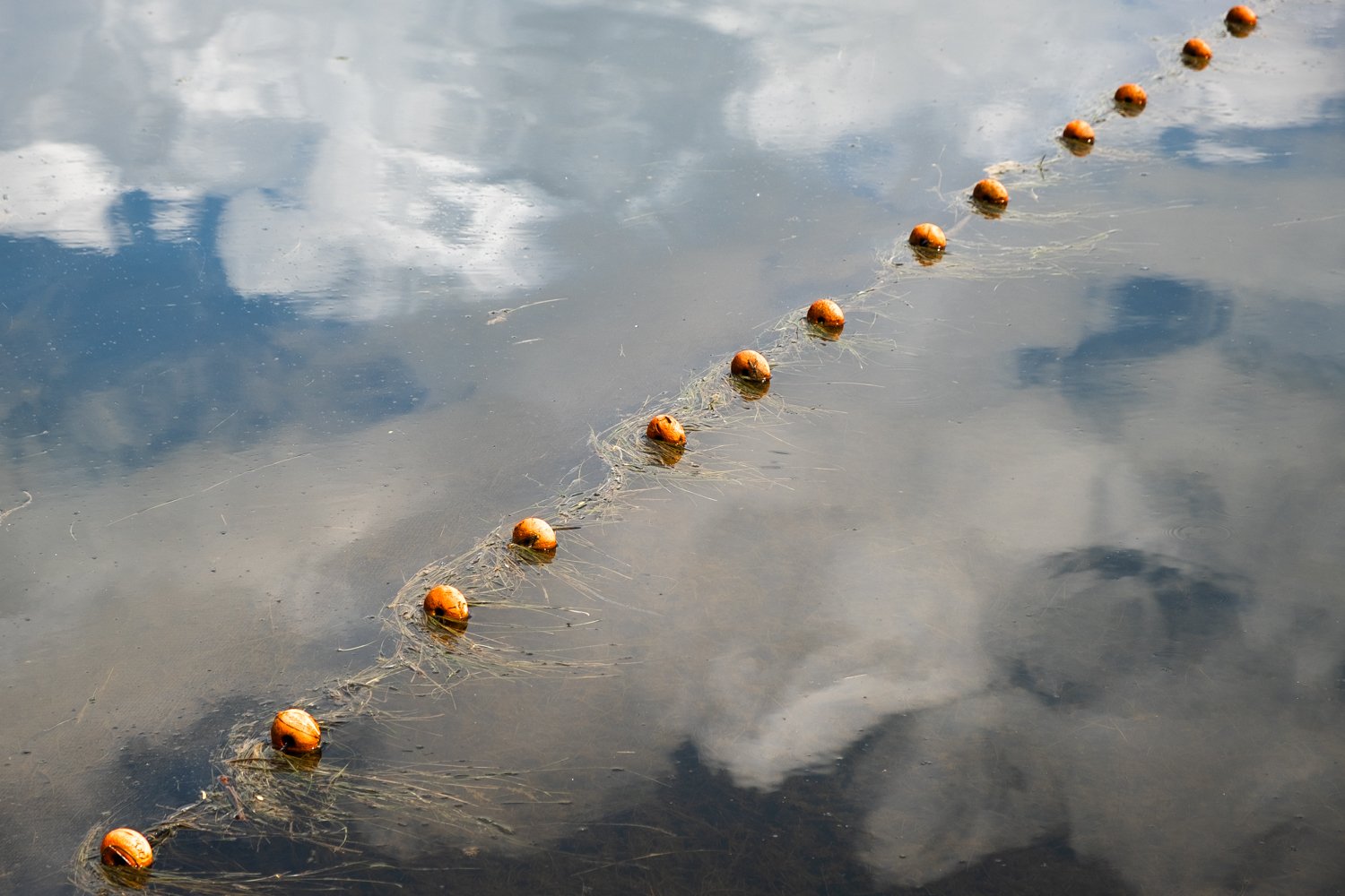 Floats and Reflections