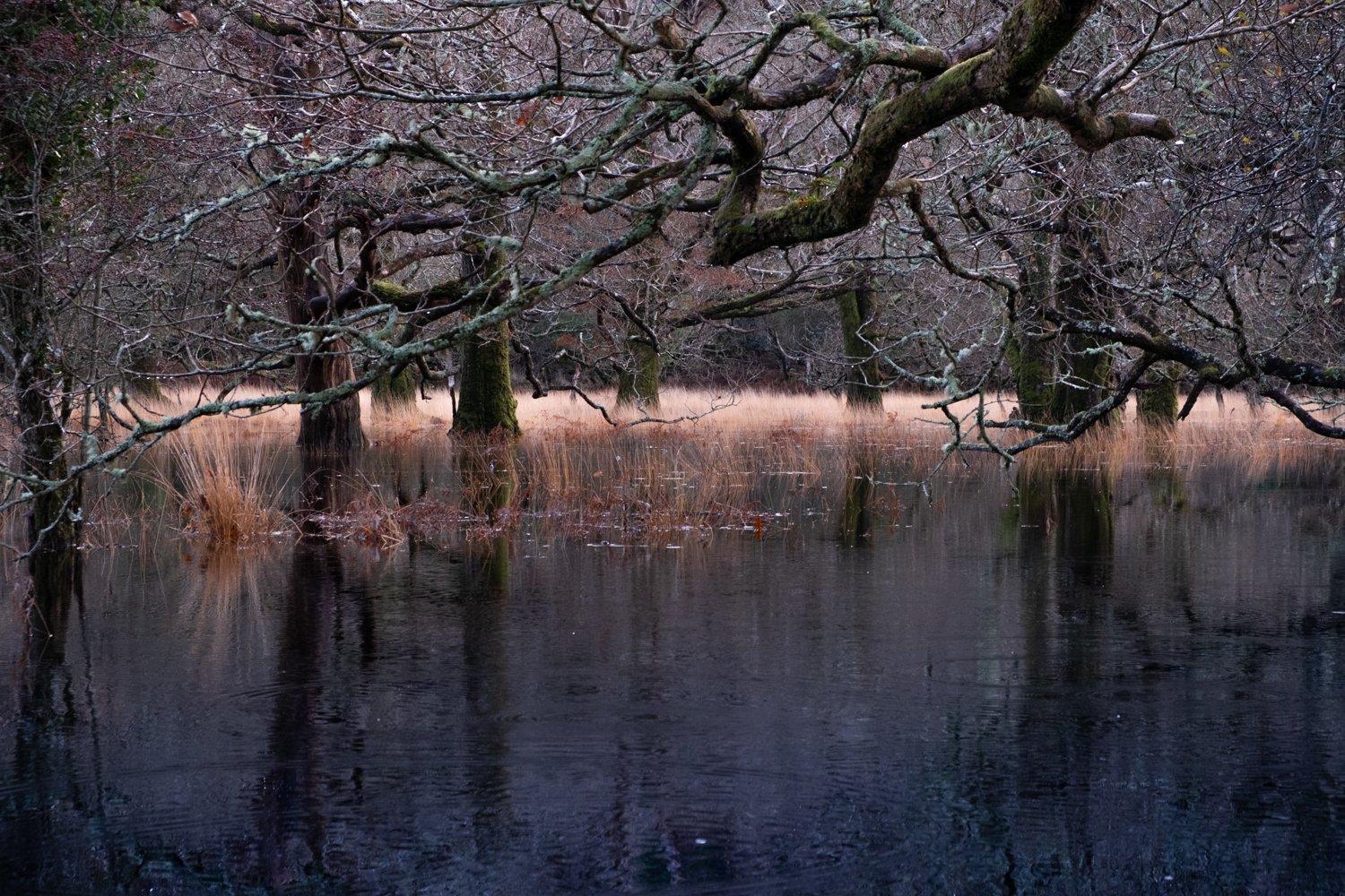 Reflections in the Underworld