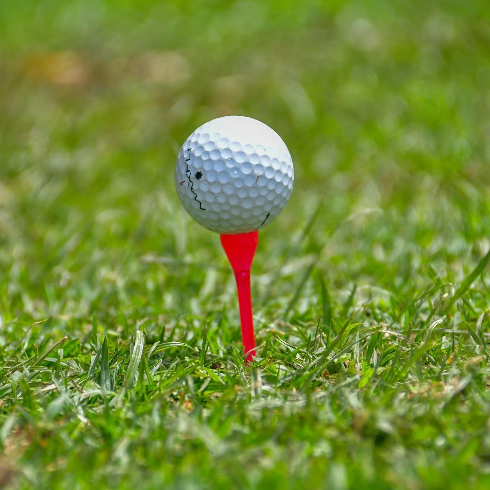 Ambassador Lindt ABB Golf Day,  Melbourne (Confirmed)