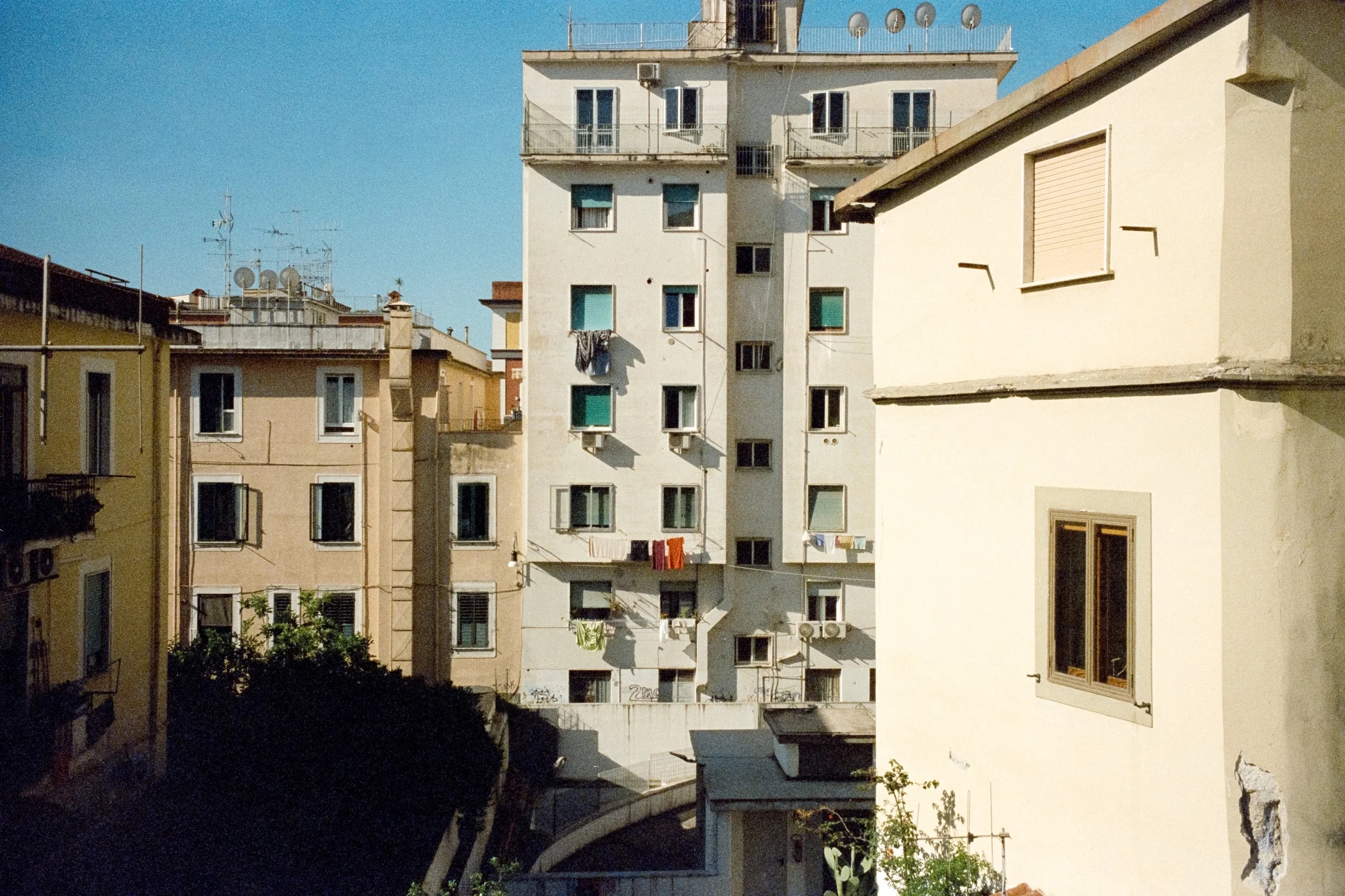 84.jpg