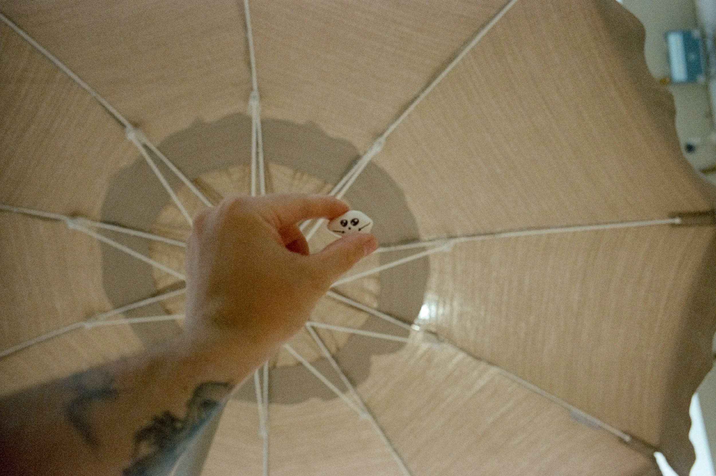 95.jpg