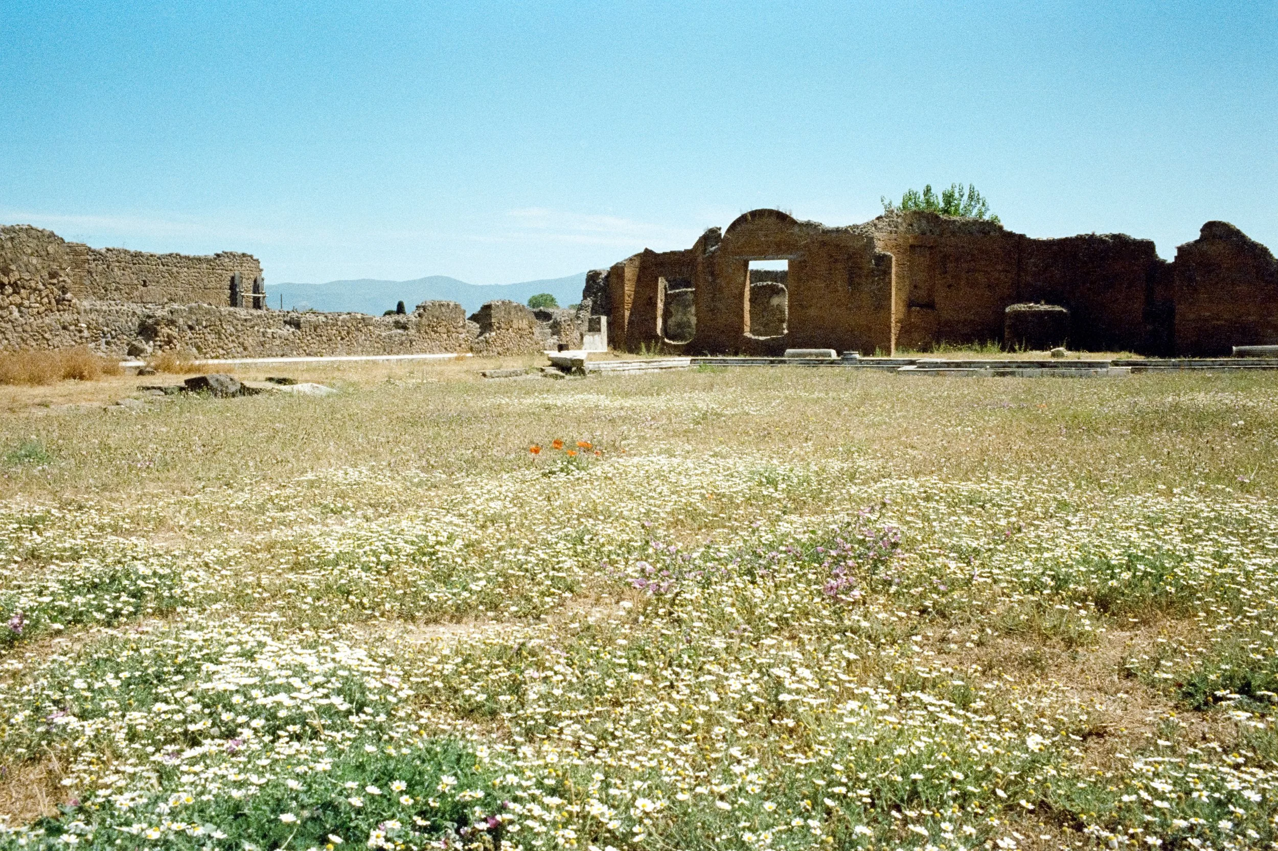 130.jpg