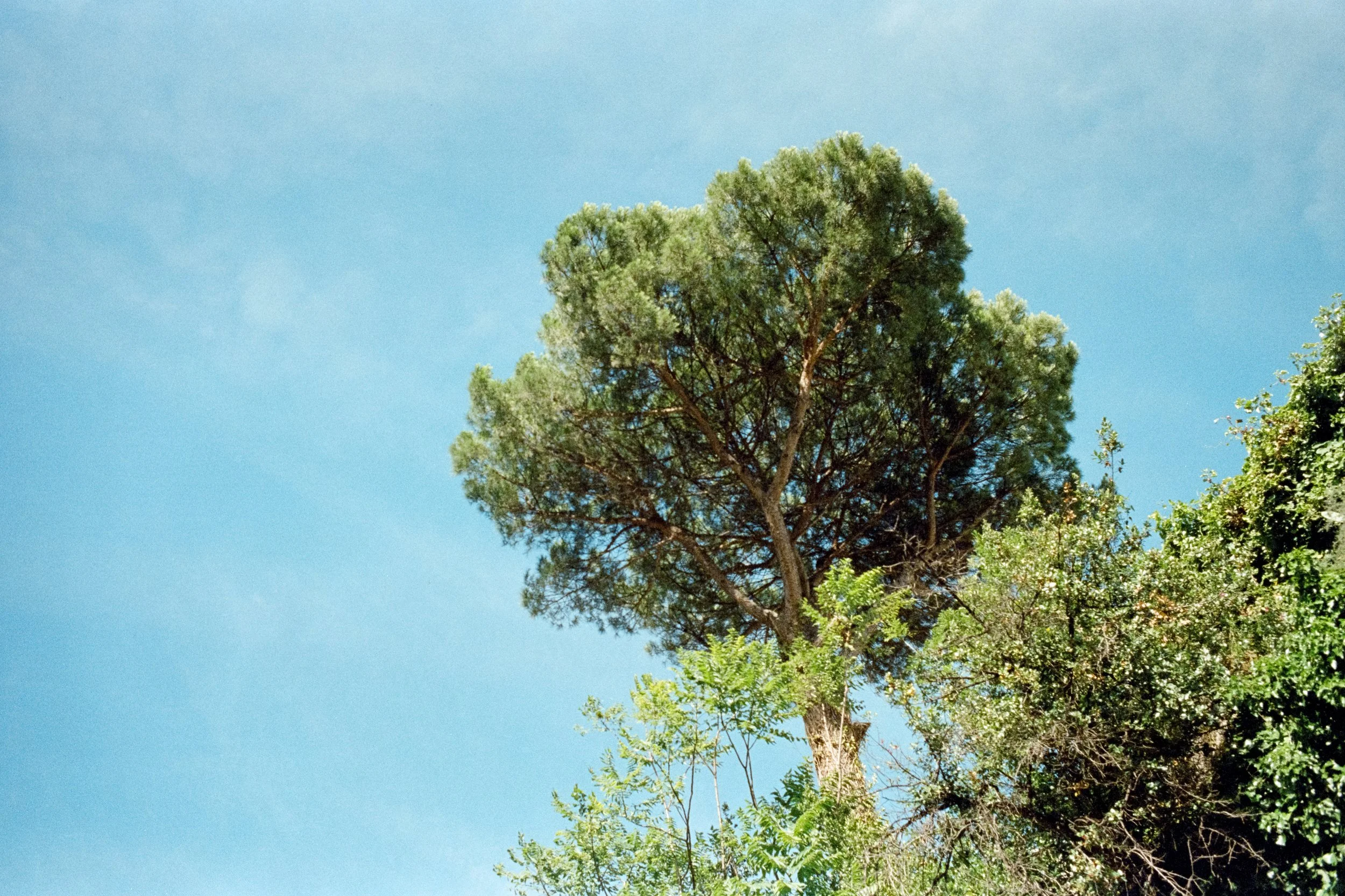 115.jpg