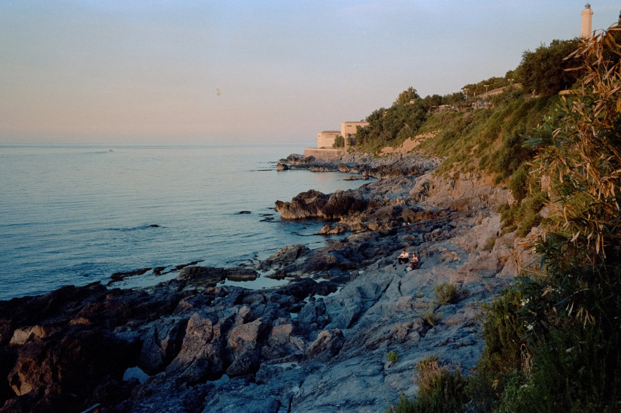 64.jpg