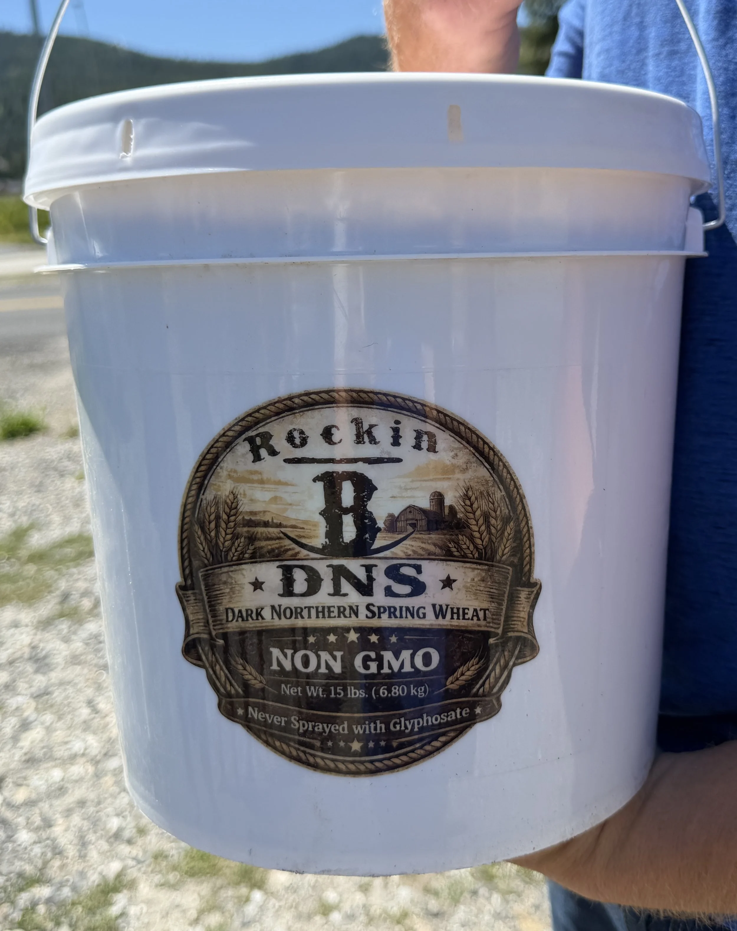 DNS Wheat Berries 2 Gal Bucket