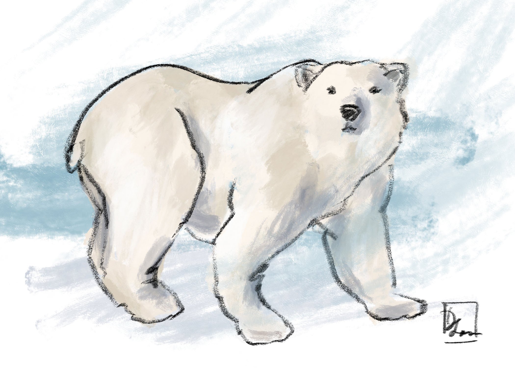 polar bear.jpg