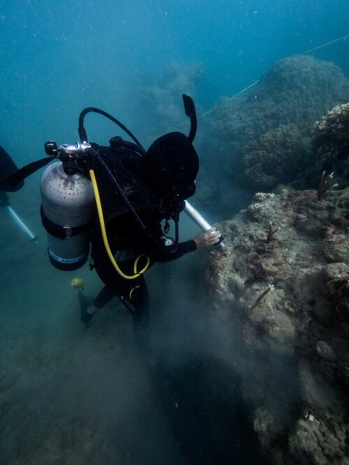 whitsundays_reefecologic_coralrestoration-29.jpg