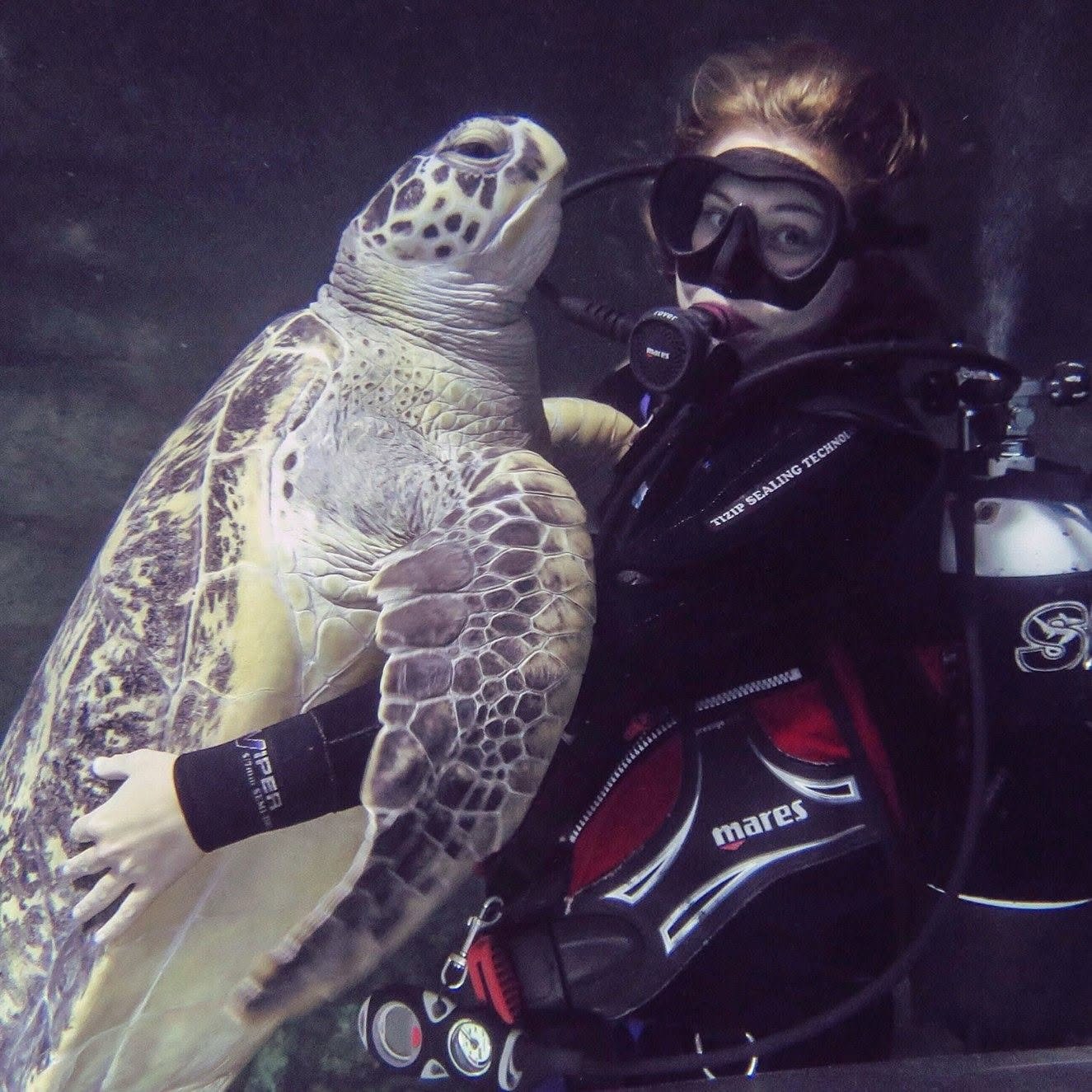 Harriet Spark scuba diving with Myrtle, a rescue sea turtle at an aquarium
