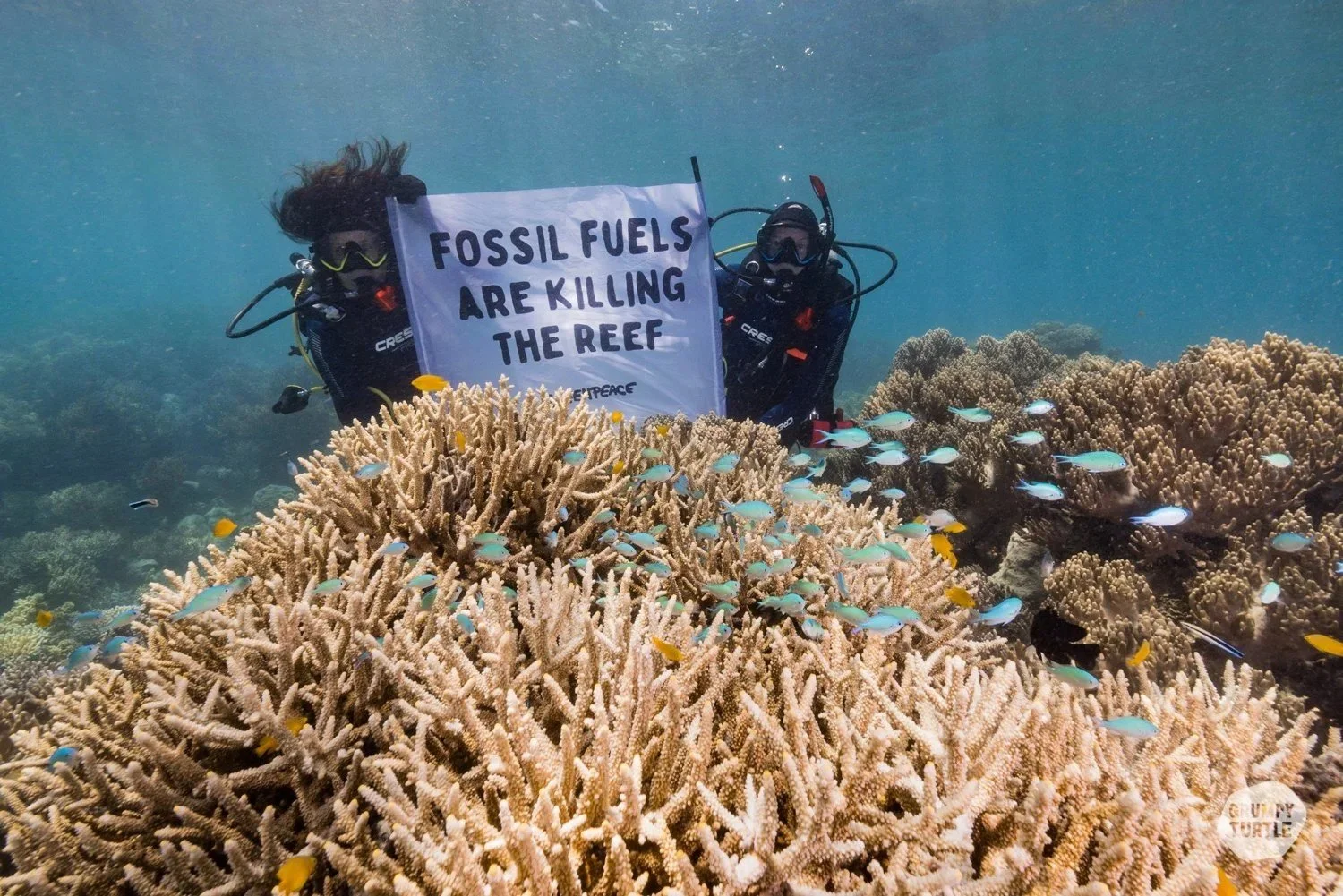 Still from Protect Our Reef, filmed by Grumpy Turtle Films for Greenpeace