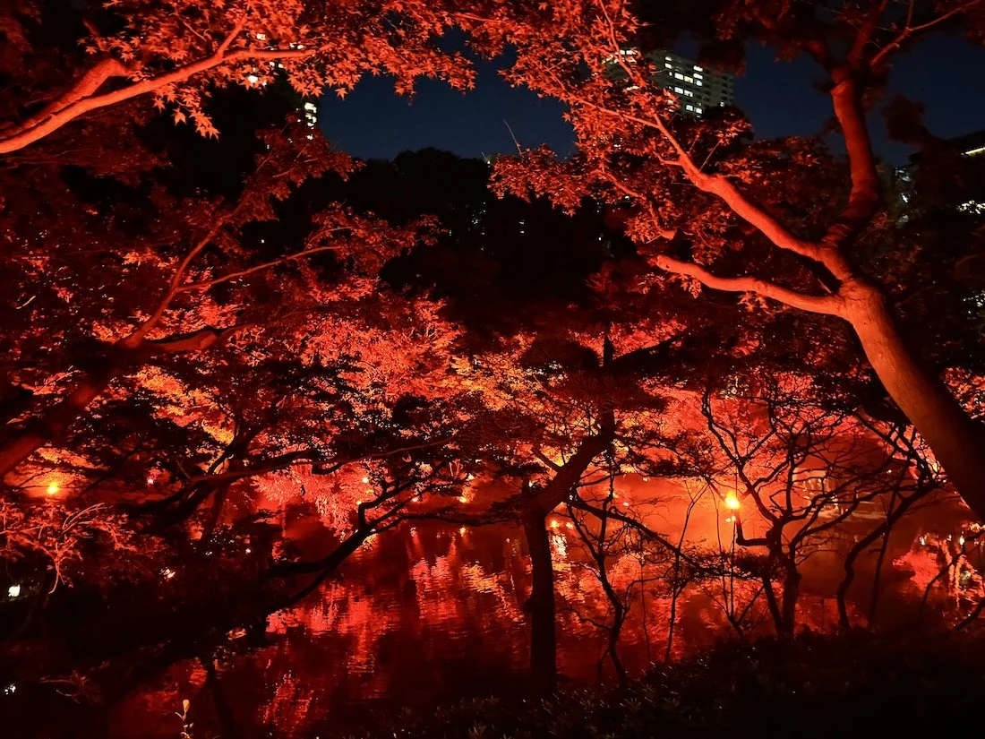 紅葉ライトアップ『TOKYO RED GARDEN AUTUMN FESTIVAL 2023』
