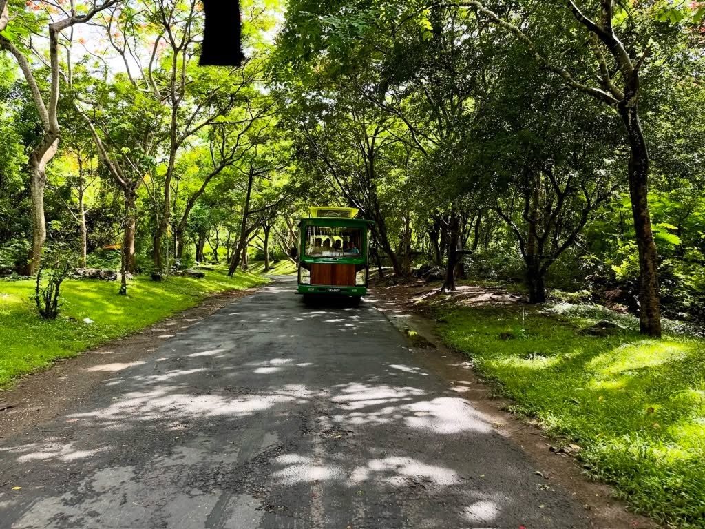 Starring stillness.

AYANA Bali

Where forest and light quietly meet.

&mdash;

Luxury Experiences / Travel / Performing Arts / Culture
STARRing MAGAZINE

#STARRingLuxury
#LuxuryResort
#BaliEscape
#DesignRetreat
#TravelInspiration