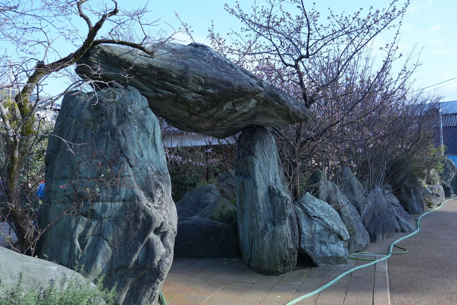 Piatto Suzuki Cinque