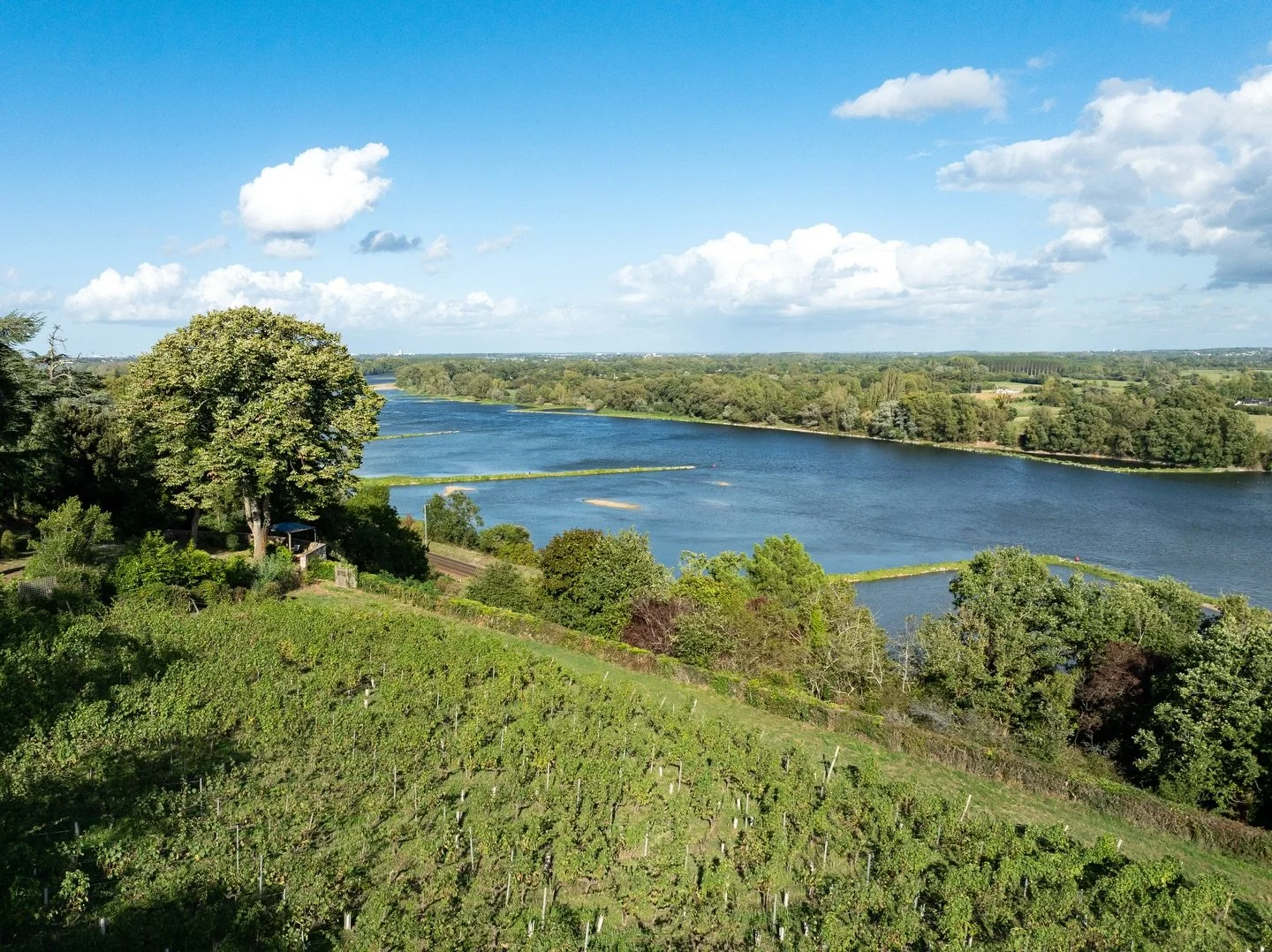 Starring Loire Wines.

Loire wine region &rarr; Tokyo.

THE UPPER, Tokyo.

16 wines &amp; pairing.

Tasting experience.

&mdash;

Luxury Experiences / Travel / Culture 
STARRing MAGAZINE

#LoireWines #LoireValley #WineCulture #ロワールワイン2026 #STARRingWo