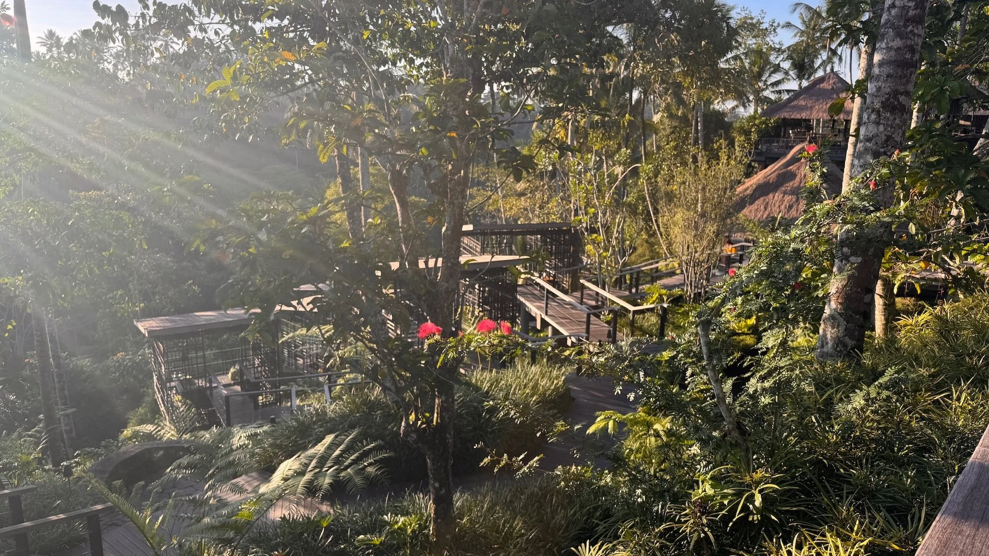 Starring HOSHINOYA Bali

Tradition. Heritage. Immersion.

#星のやバリ #HOSHINOYABali #Bali #BalineseCulture #BaliRetreat

Luxury Experiences / Travel / Performing Arts / Culture

STARRing MAGAZINE

Read the full story.
Link in bio.