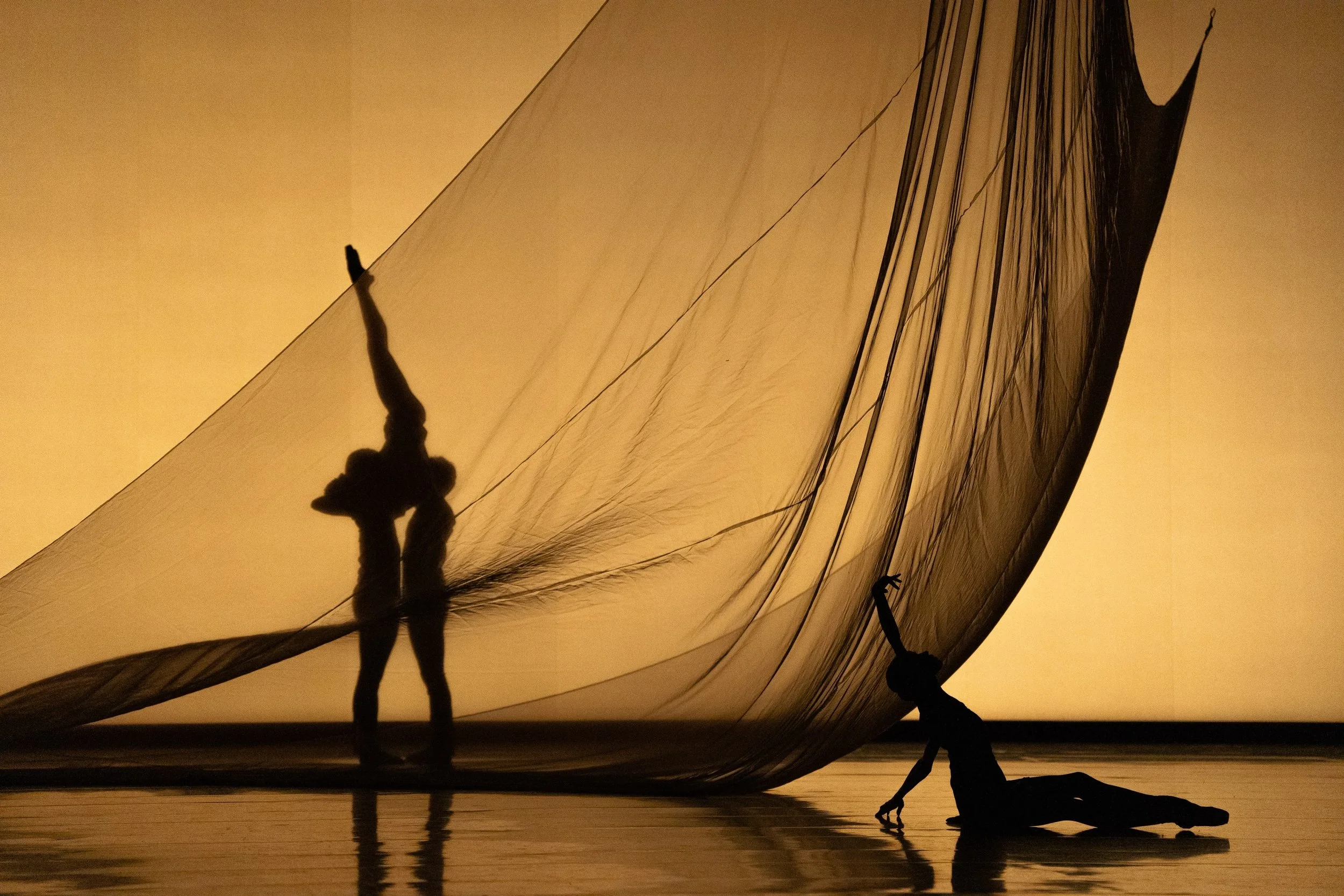 On Stage.

Starring Double Bill

String. Movement. Light.

String SAGA / Escaping the Weight of Darkness

#NationalBalletofJapan
#StringSAGA
#EscapingTheWeightOfDarkness
#Ballet
#ContemporaryBallet

《舞台写真》
新国立劇場バレエ団 最終舞台稽古より
撮影：奥田祥智

Luxury Experienc