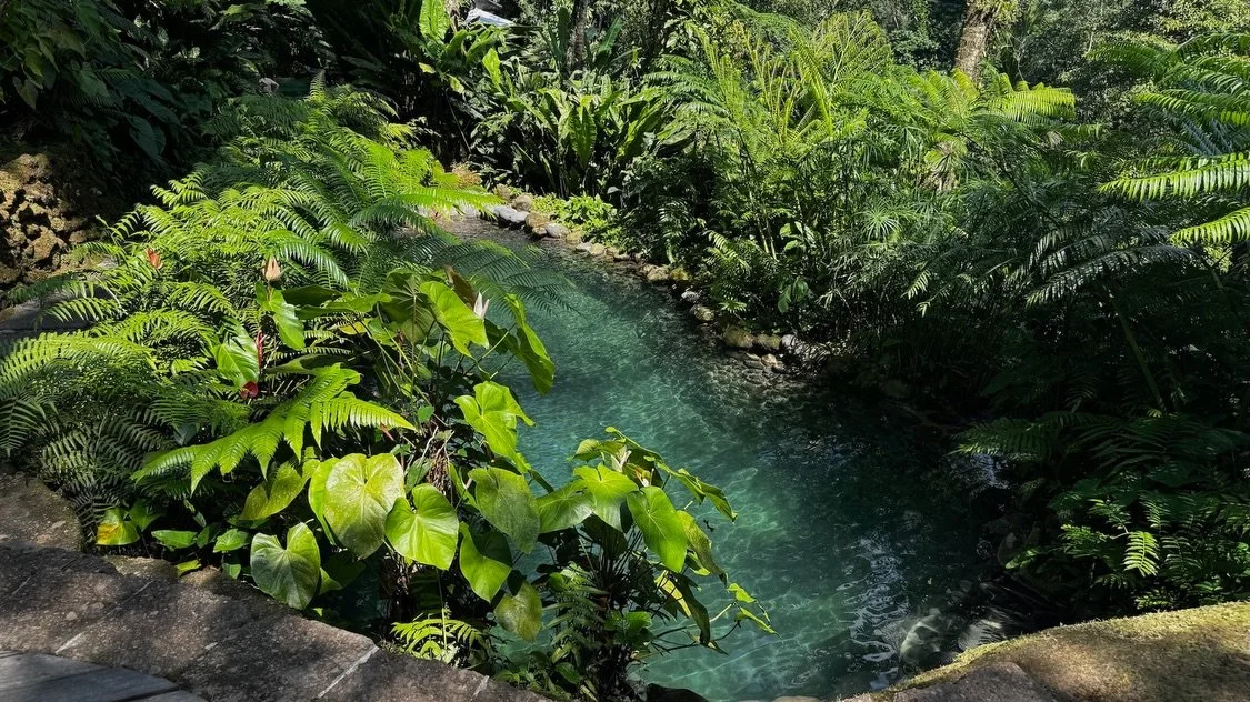 Starring Bali Retreat Guide

Retreat. Rebalance. Harmony.

Luxury Experiences / Travel / Performing Arts / Culture

STARRing MAGAZINE

#BaliRetreatGuide #Bali #Ubud #COMOShambhalaEstate #HOSHINOYABali

Read the guide.
Link in bio.