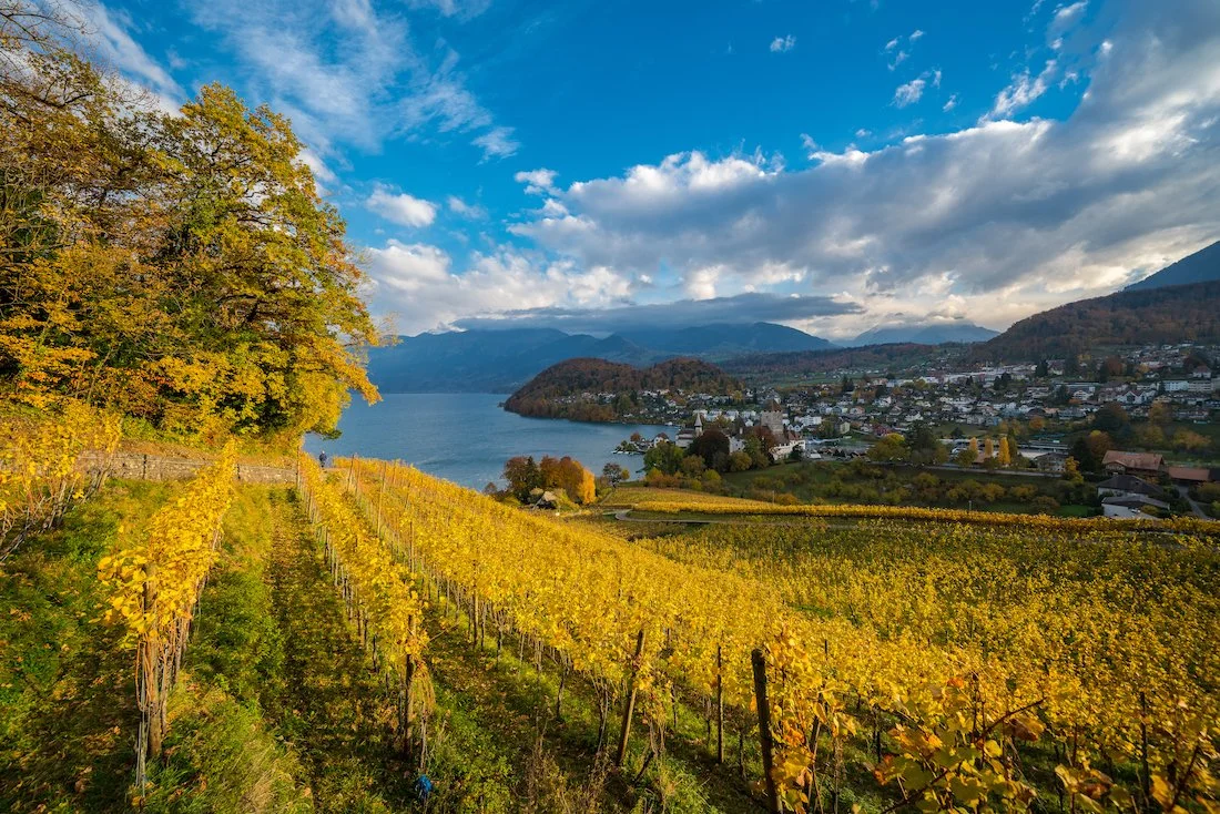 秋色に染まるスイスのユングフラウ地方 インターラーケン Beautiful Autumn, Interlaken of Jungfrau Region　