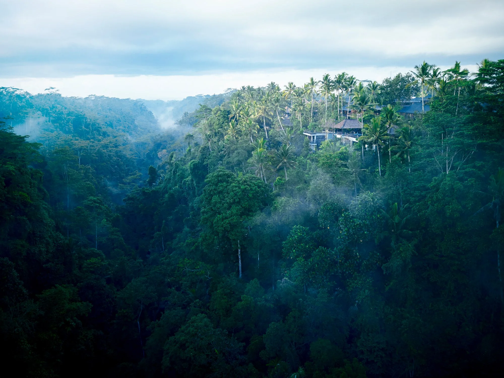 バリ島の暮らしと美意識に触れる渓谷の隠れ家　星のやバリ HOSHINOYA Bali