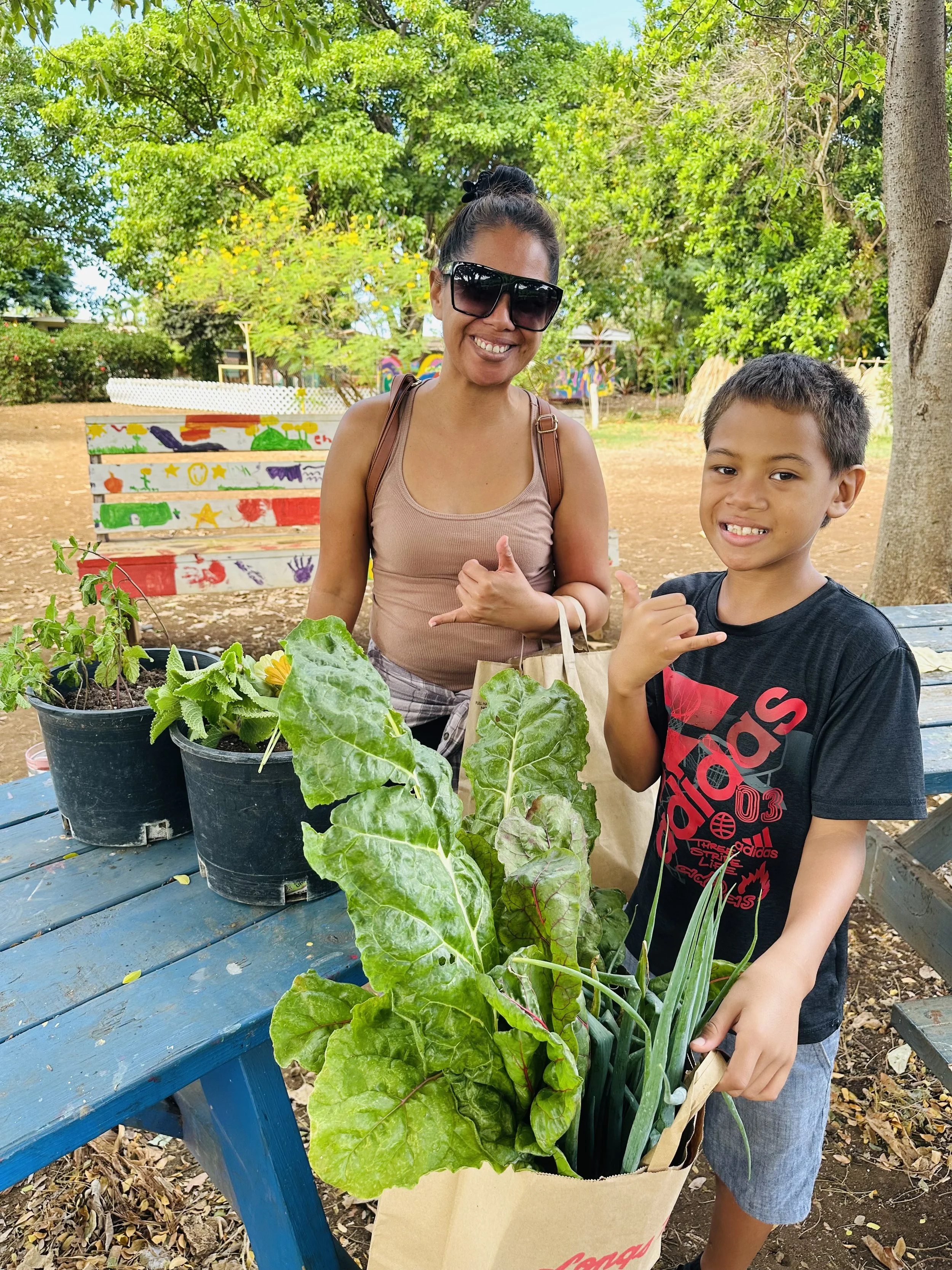 U-Pick Farm to Basket