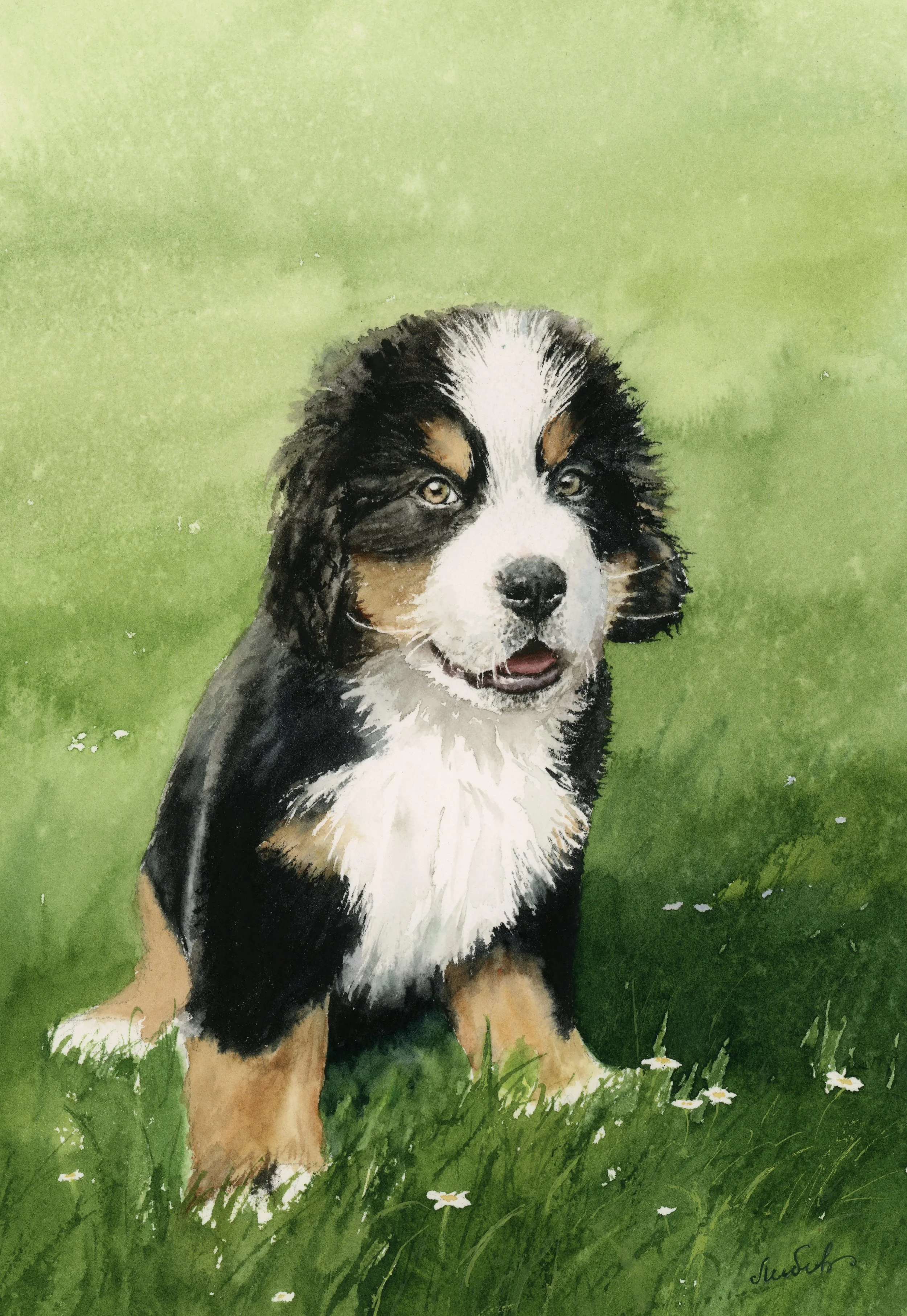 Pet portrait commissions