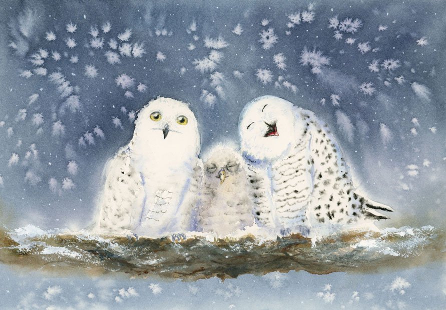 Card04-Owls3.jpg