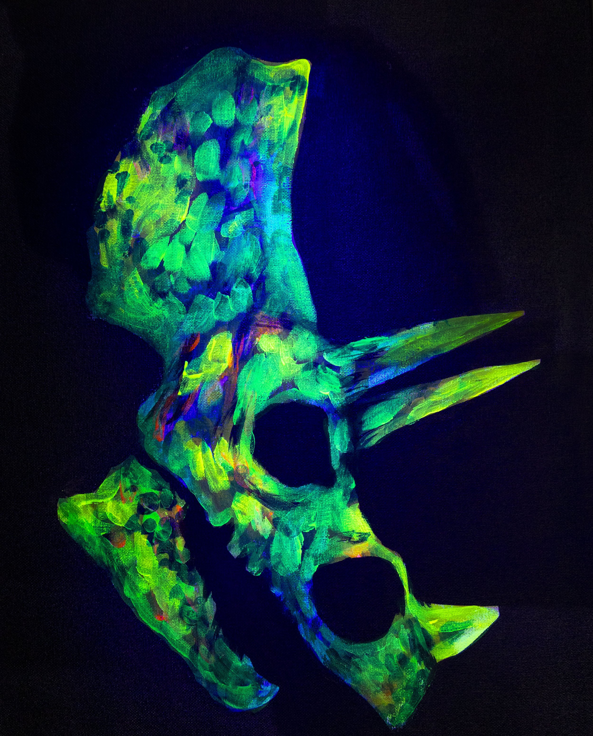 Triceratops (Blacklight) *KM