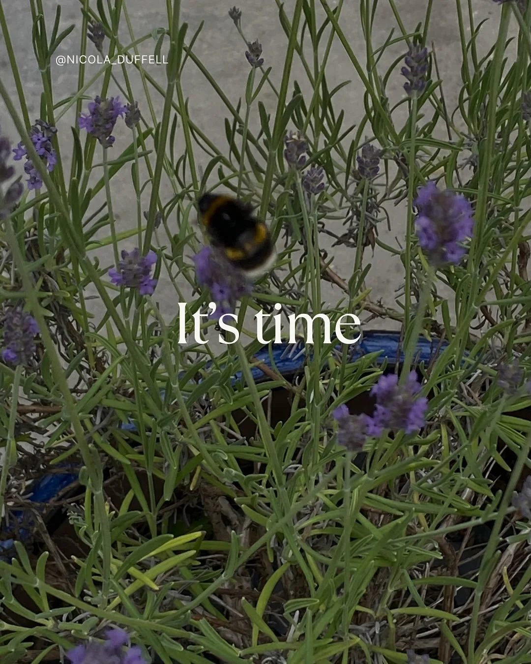 It&rsquo;s time | I feel a bit lost for words today, in that I have so much that I want to say the coherence is escaping me.
.
So I&rsquo;ve used the words of my teacher and mentor Francis Weller from his new book In the Absence of the Ordinary.
.
We