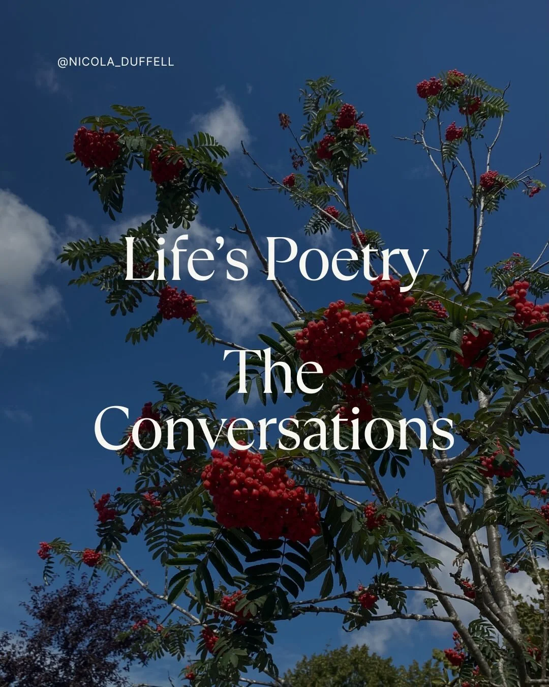 Life&rsquo;s Poetry The Conversations | I&rsquo;m so excited to share these with you. 
.
Life&rsquo;s Poetry is becoming an ecosystem.
.
A support for grief and belonging.
.
For life.
.
Medicine for these times - I hope.
.
My book, Life&rsquo;s Poetr