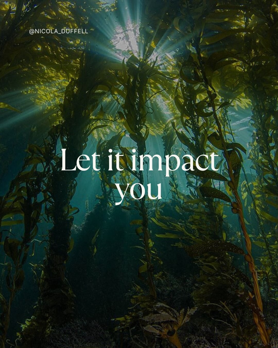 Let it impact you | Words that came through me yesterday as I allowed the grief to consume me and activate me.
