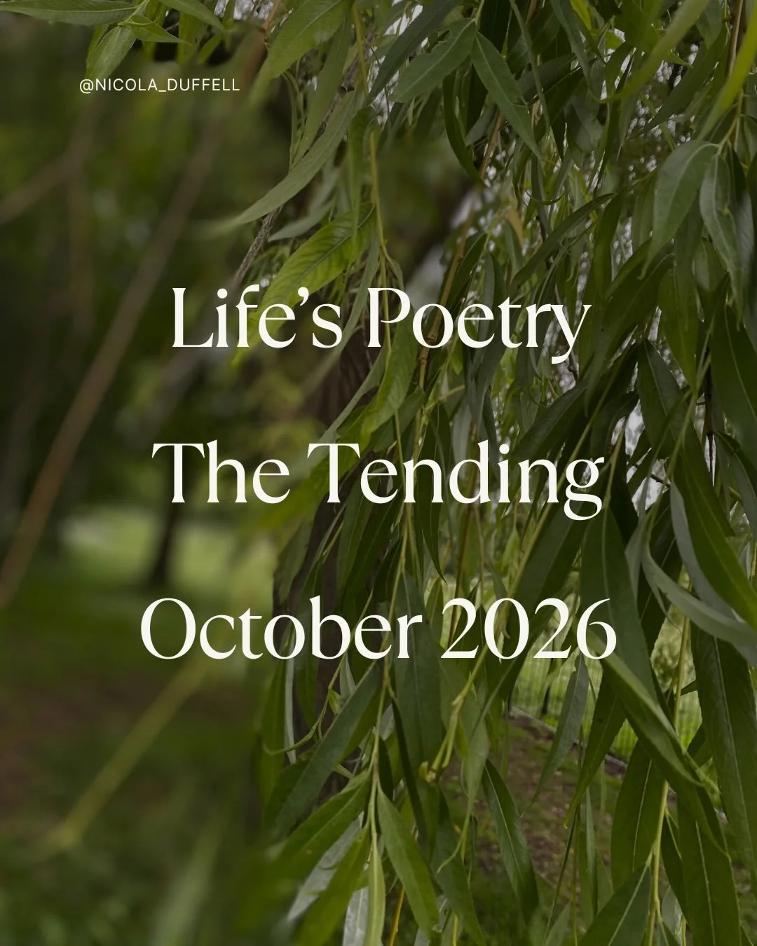Life&rsquo;s Poetry The Tending | This is what I&rsquo;m calling Life&rsquo;s Poetry in real life.
.
My book of the same name is out next week.
.
This, the tending, gives us a place to explore our grief. Be with our grief. Both personal and collectiv