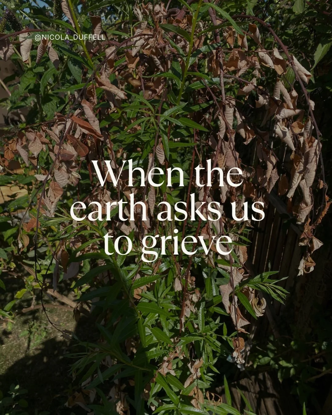 When the earth asks us to grieve | Sitting with this in my heart at the moment.
.
Holding what it is to enjoy the summer sun in the UK.
.
And to feel that there&rsquo;s something here, something fundamentally shifting in our climate 
.
Sitting with q