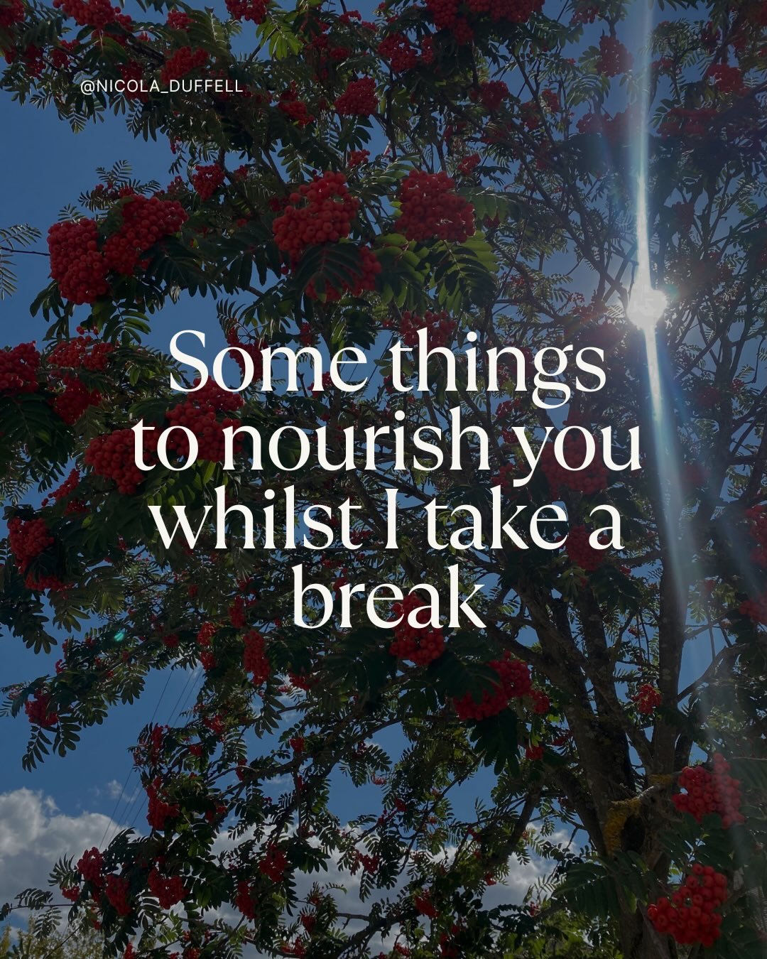 My out of office is officially on | Taking a break to drop in with my family.
.
To listen to what&rsquo;s needed.
.
To tend.
.
To love.
.
To breathe.
.
To rest.
.
I hope you can do a little of this for yourself too.
.
See you soon.
.
.
.
.
.
#griefte