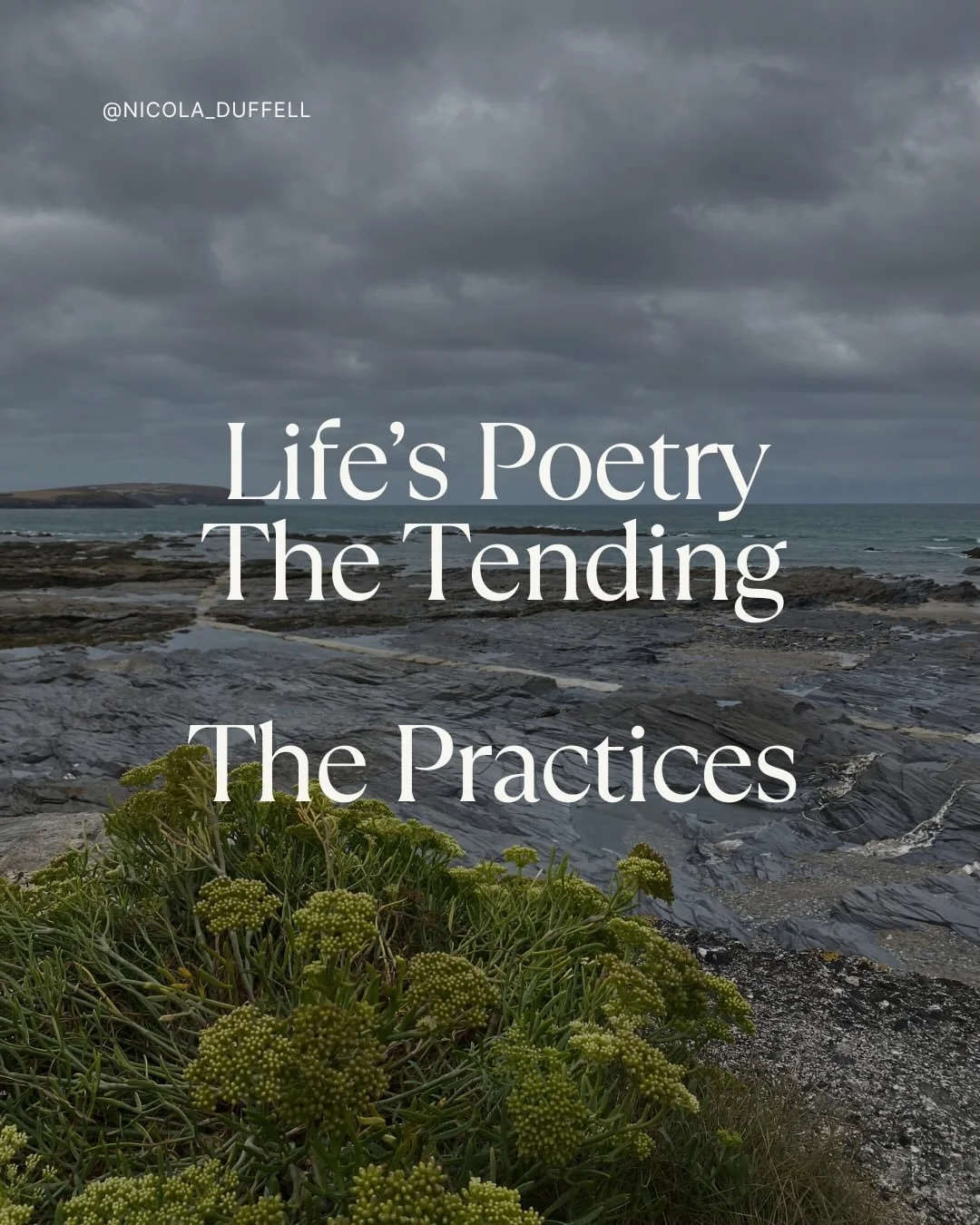 Practices that are essential in restoring culture | What are your practices?
.
How should we be practicing together?
.
Life&rsquo;s Poetry The Tending starts on 12th October, let&rsquo;s grieve together, let&rsquo;s practice together, let&rsquo;s res