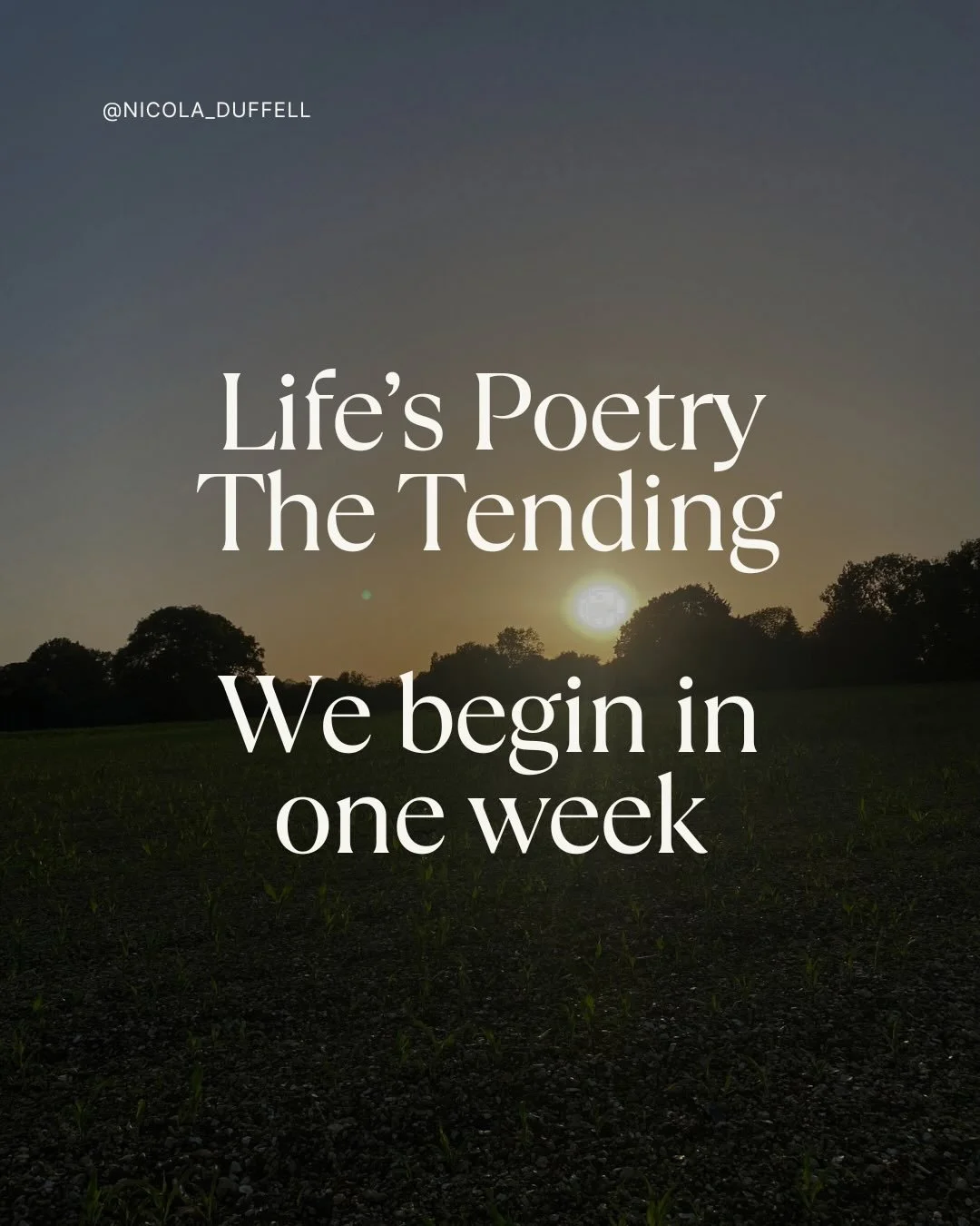 The grief is palpable | Grief as sorrow, grief as holy outrage, grief as liberation. 
.
Yes I am wanting you to come and join me.
.
Because I believe in our grief. 
.
Yours, and mine, and theirs.
.
Because I believe that we can do none of this alone.
