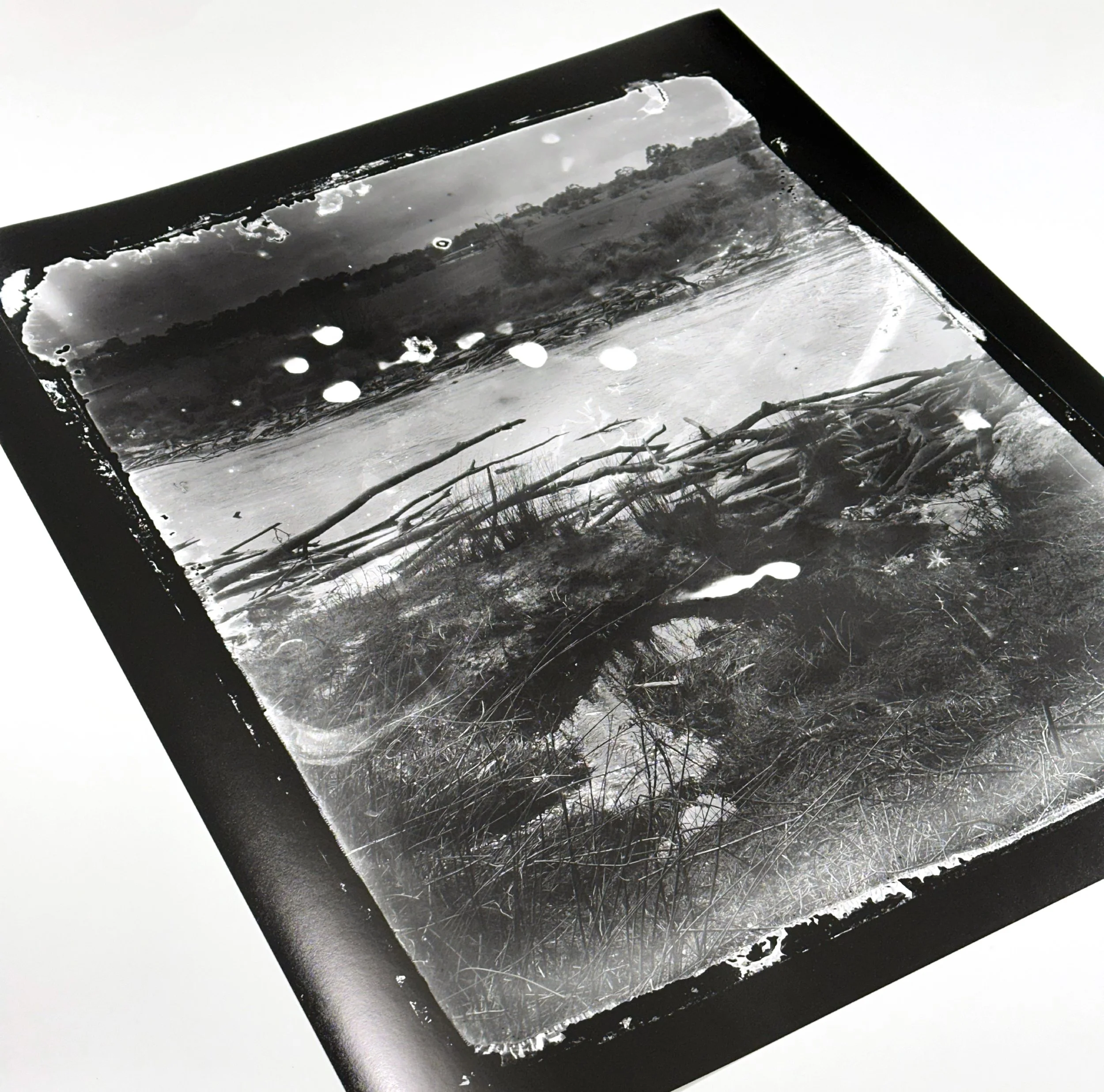 A developing print of a black and white landscape image