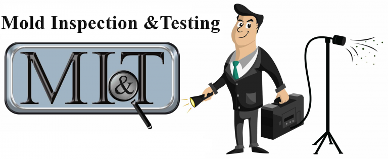 Cartoon character holding a flashlight and toolbox next to a logo with 'MIT' and text 'Mold Inspection & Testing.' There's a device emitting particles on a tripod.