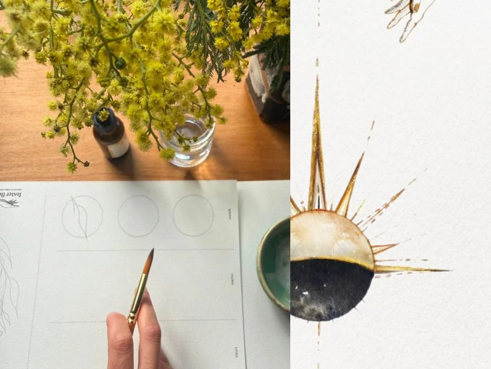 wattlequinox_workshop.JPG
