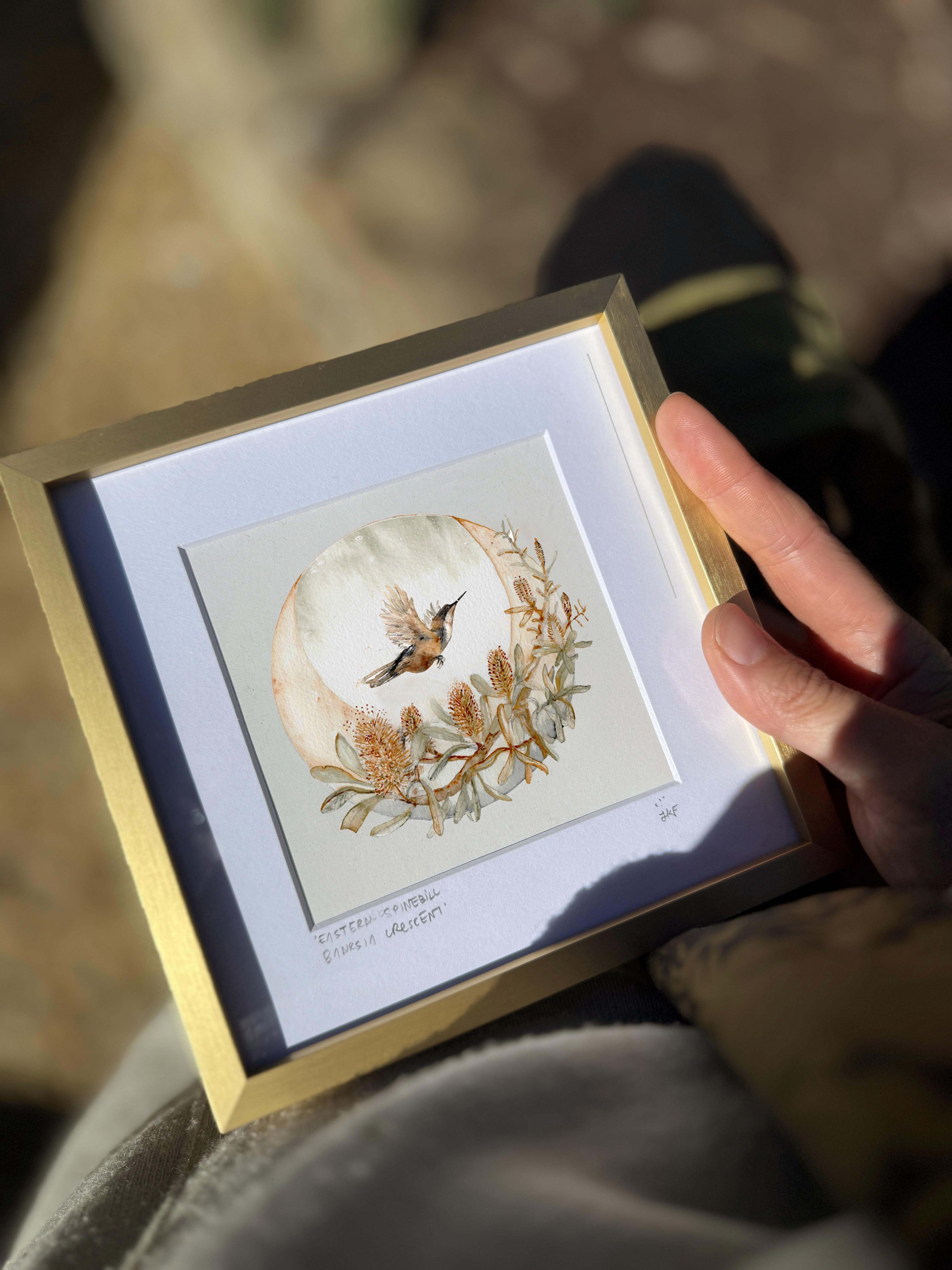 eastern spinebill banksia australian flora_with hands.jpg