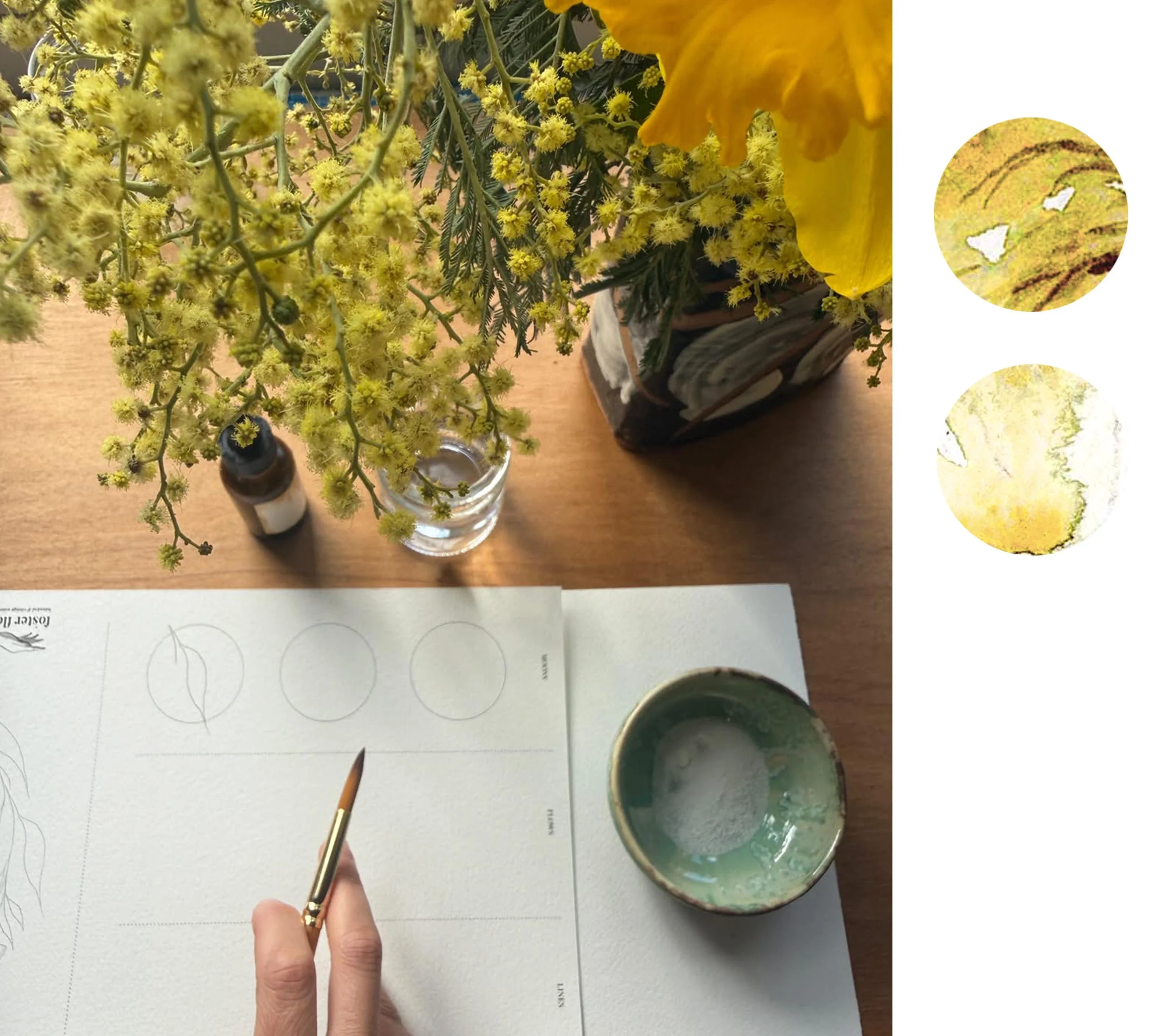 fullmoonpaint_alcheme_yellow.jpg
