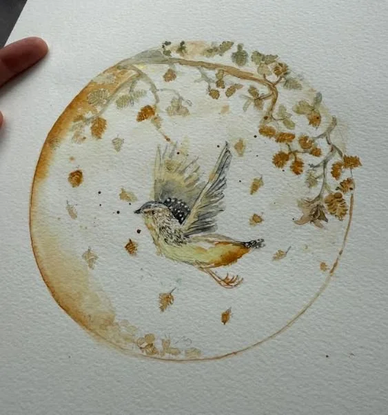 fagus pardalotte print.JPG