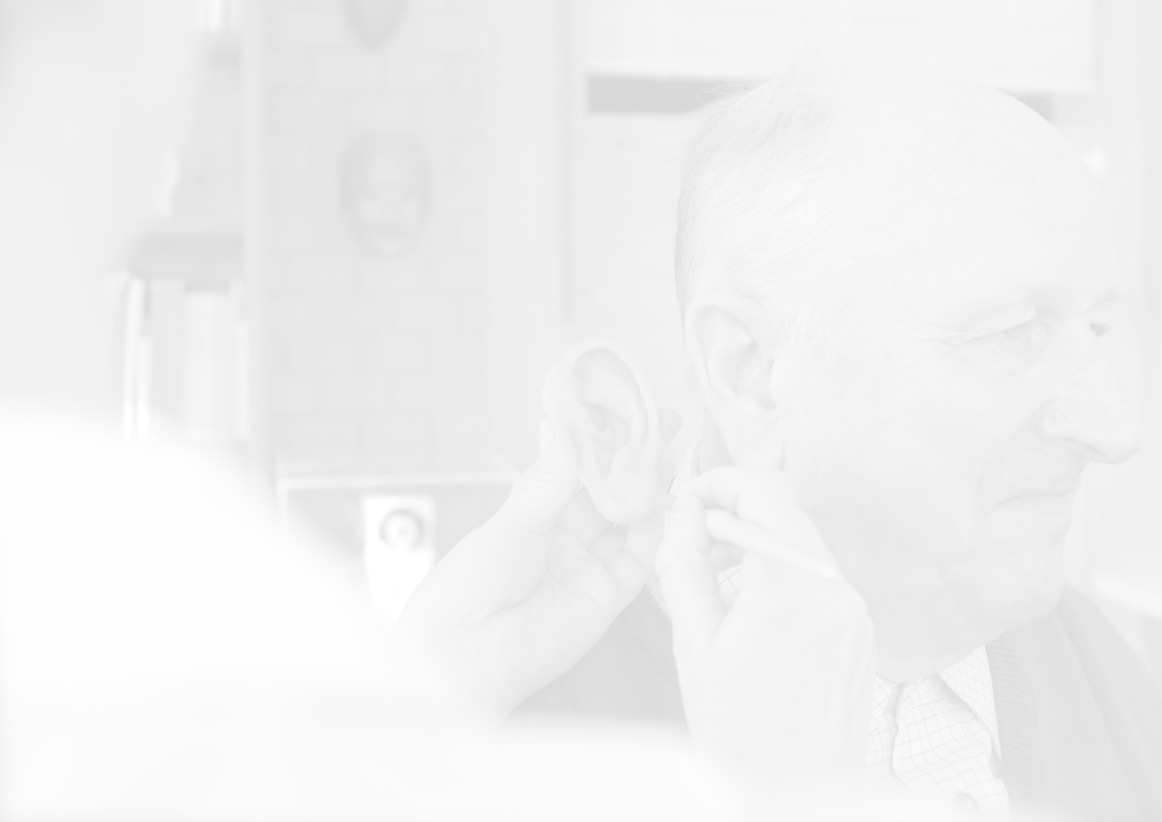 6-Les Epitheses Facailes 2.png