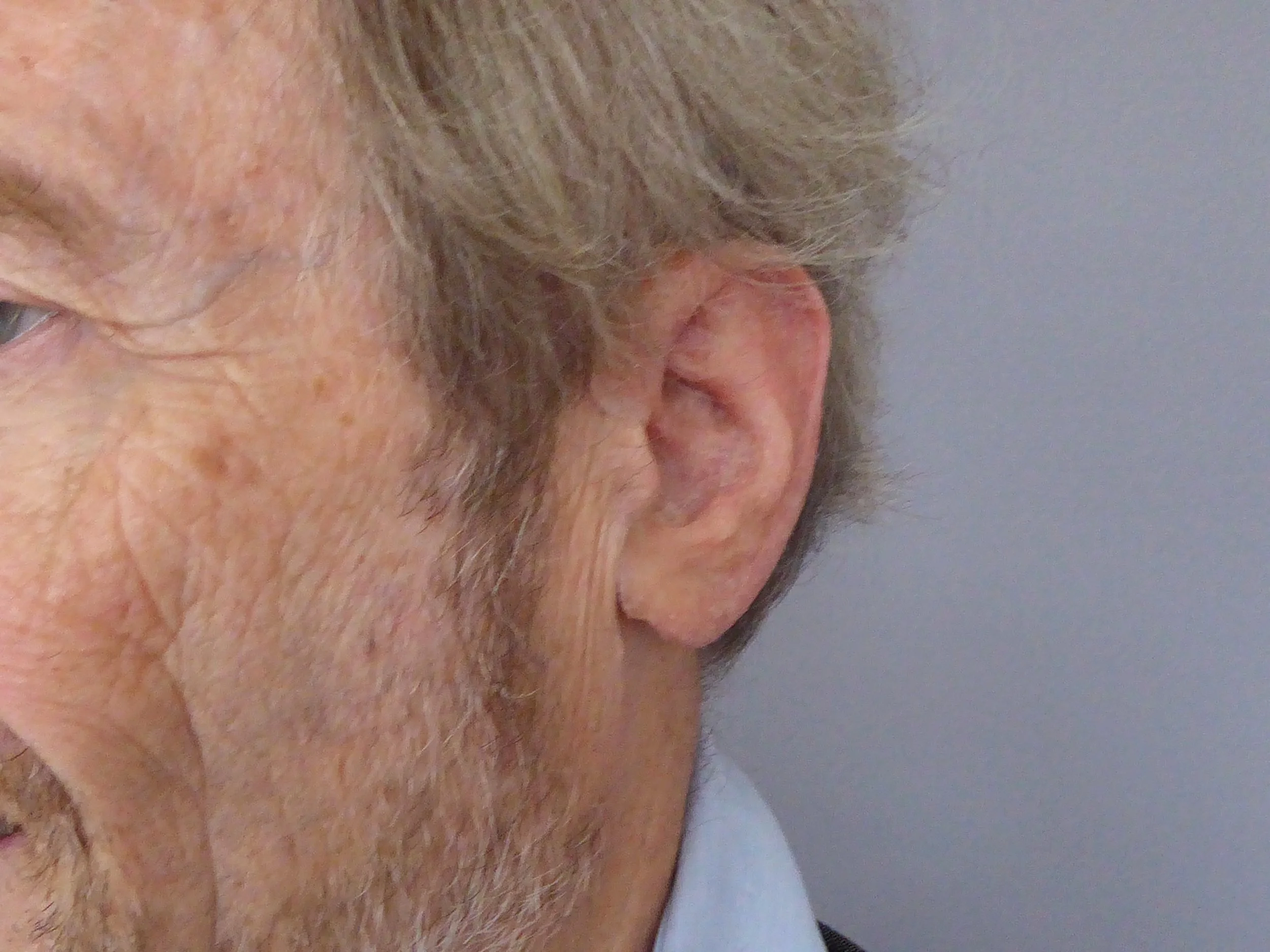 P1160527 copie.jpg