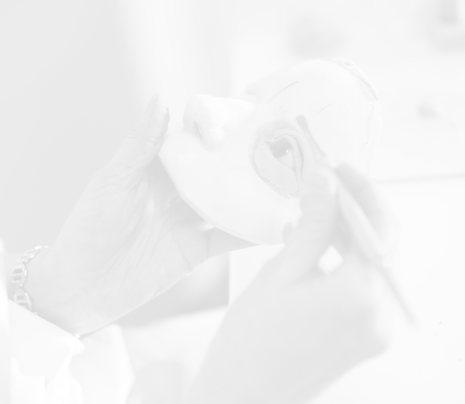 1-Le Centre-Missions.png