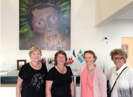 Workshop at the P-I Branemark Institute Foundation, Bauru, Brazil, August 2016