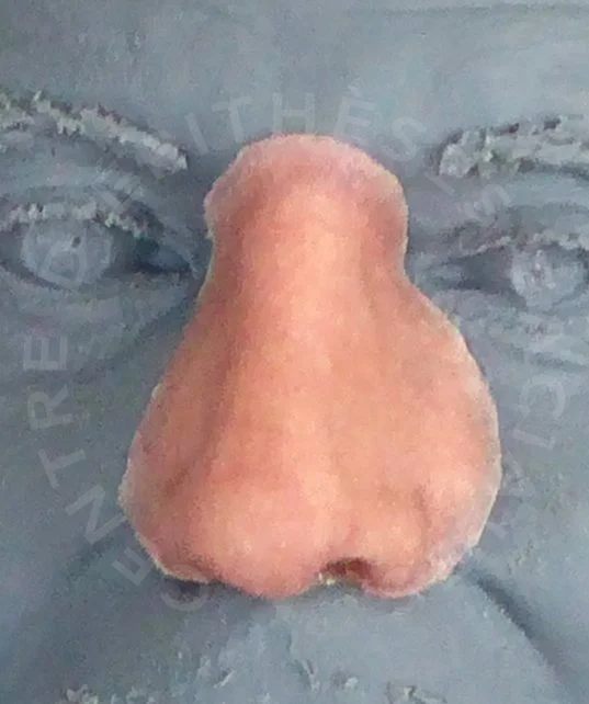 TE1.jpg