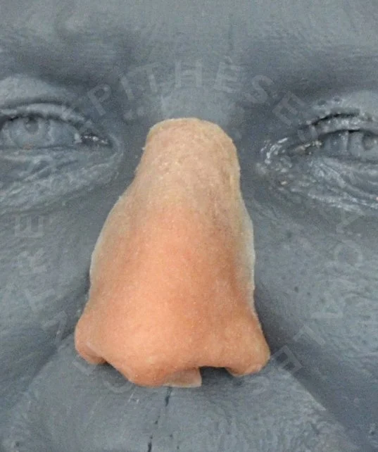 DN9.jpg