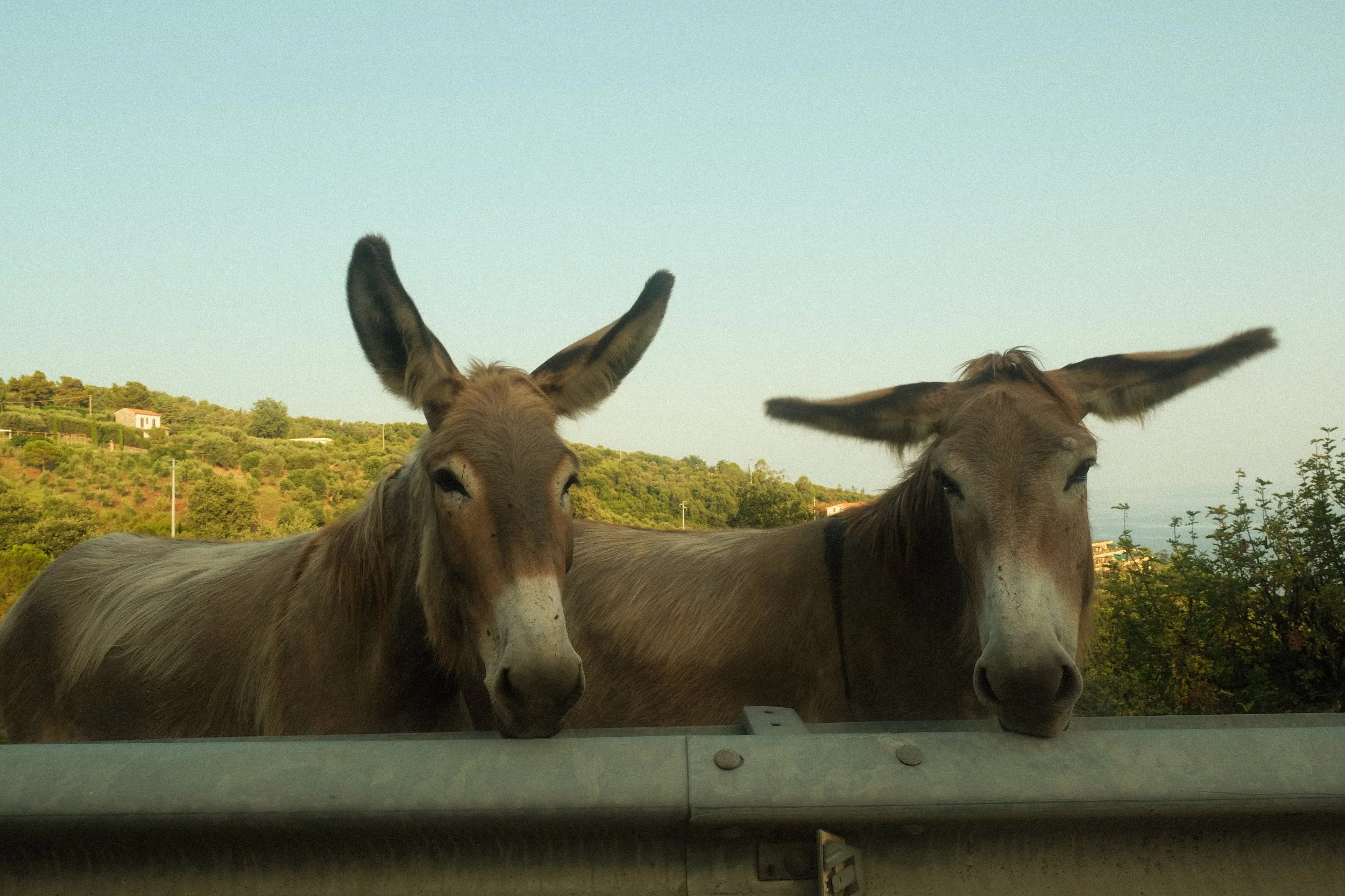 6AC9907B-C925-4235-892D-4AA000302BF8 2.JPG