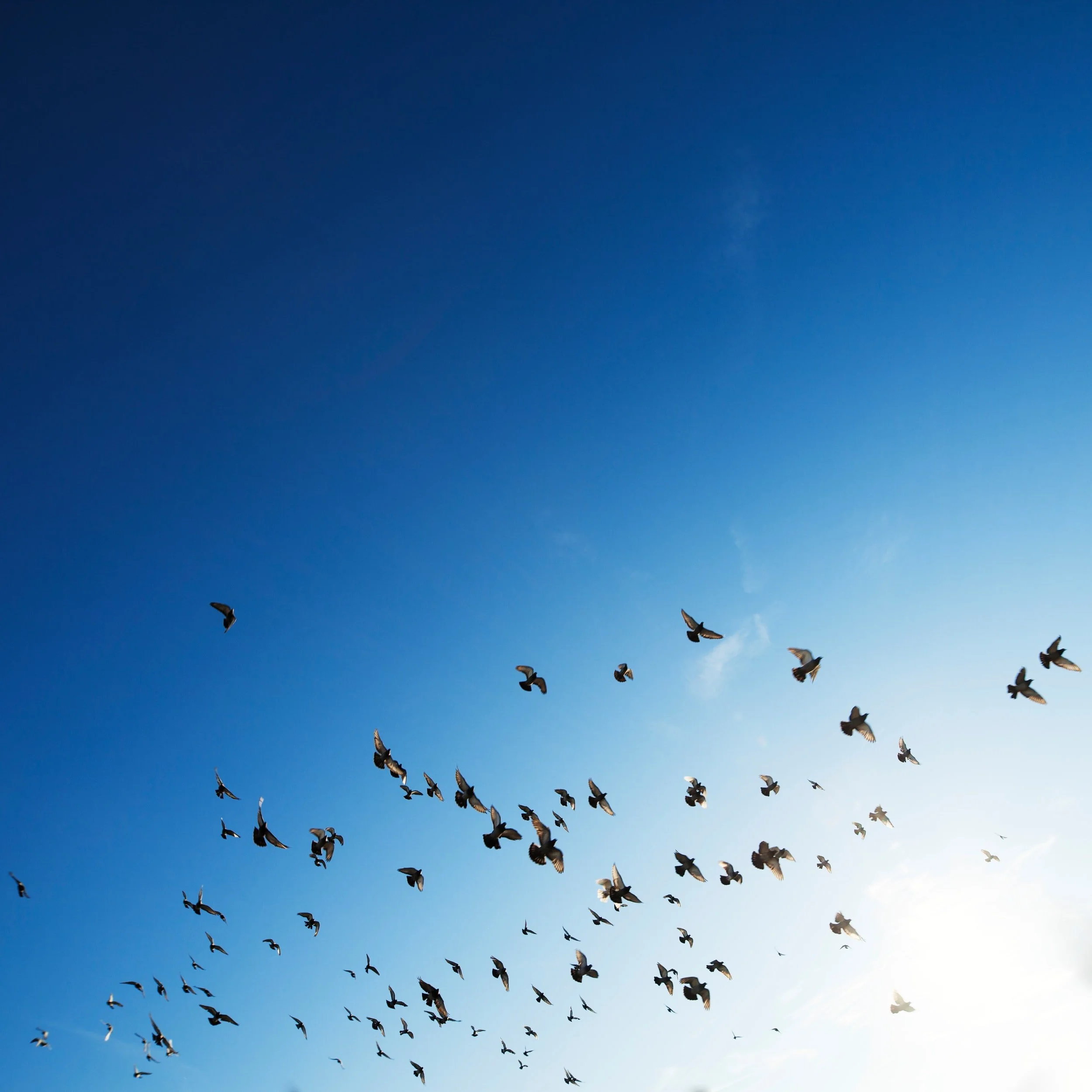 Why I’ve Cut Out the Word “Should”