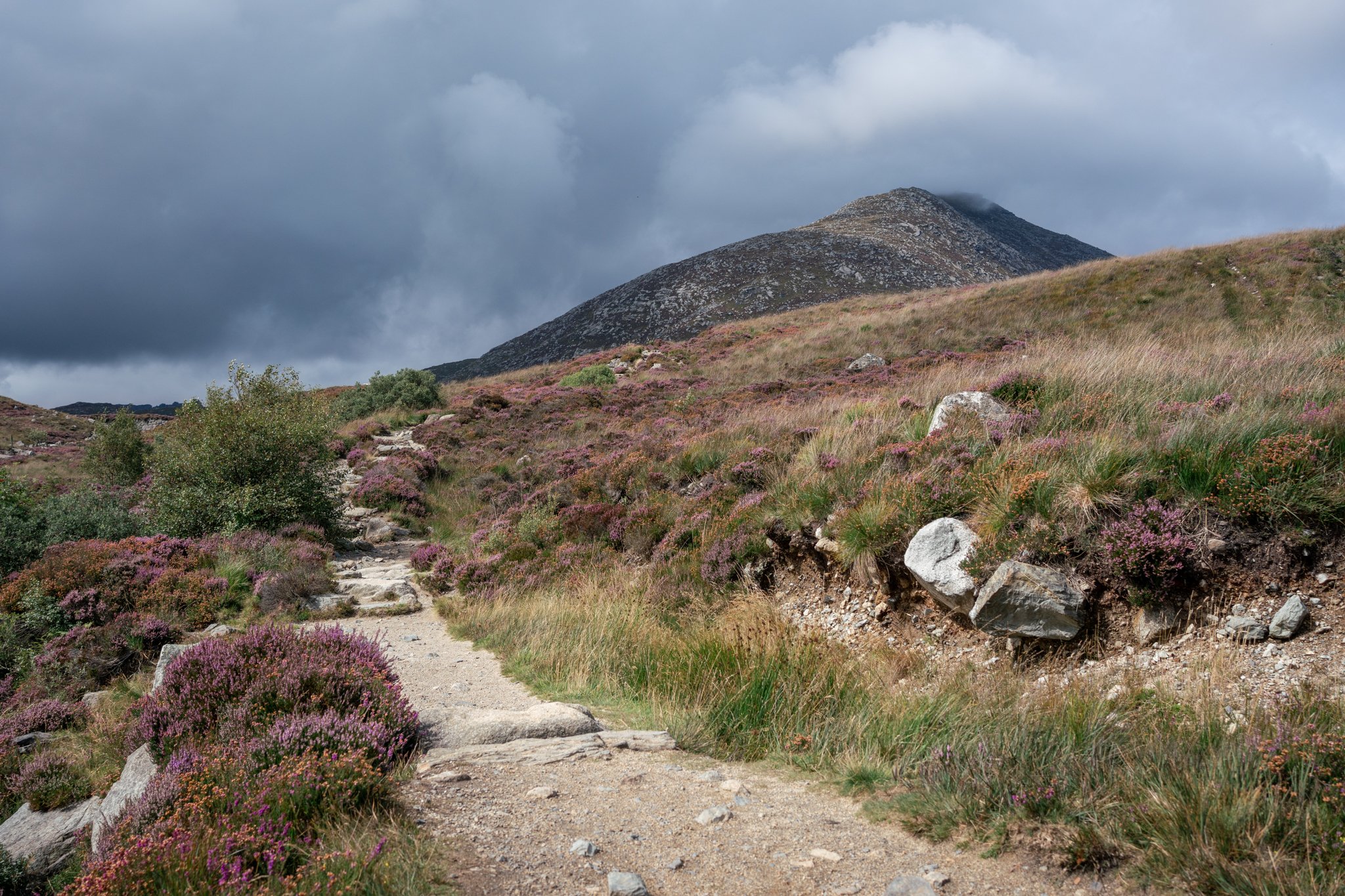 Bothy-12.jpg