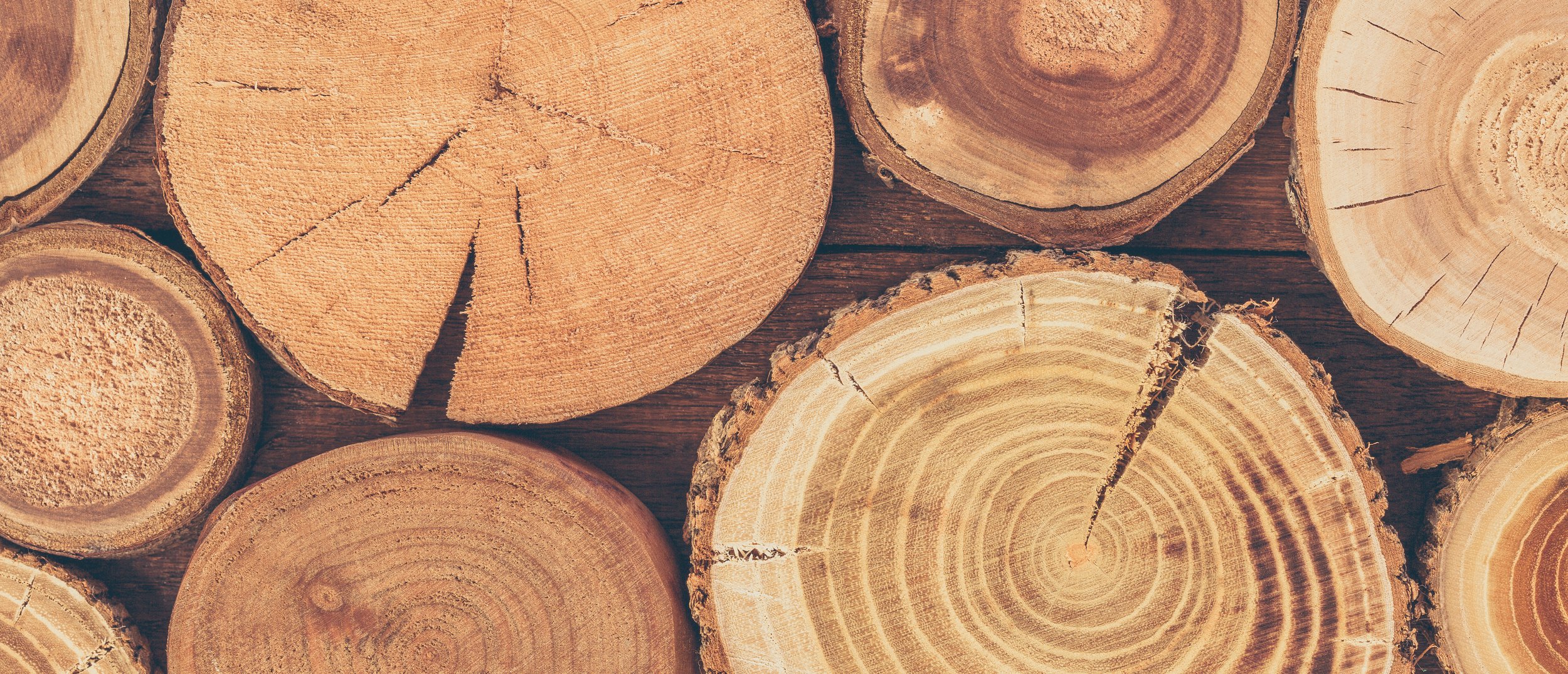 Les scieries portatives La cabane fieutée Travail du bois